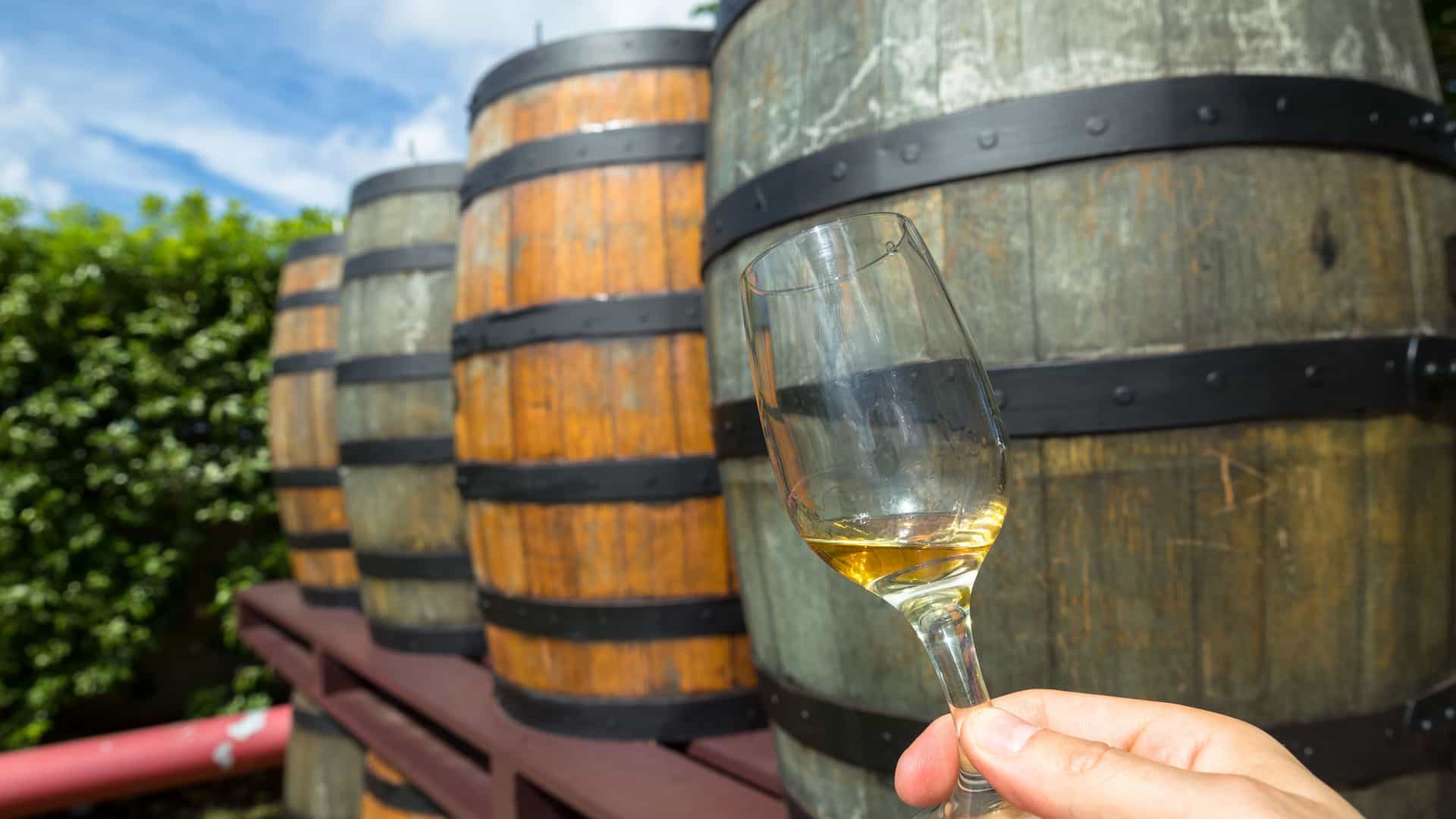 A hand holds a glass of golden rum, positioned in front of a row of large wooden barrels at a distillery, a common sight in the Caribbean region. The barrels are weathered with visible metal bands. The rum in the glass is a rich amber color, and the background is a bright, sunny day with a blue sky and white clouds. The image captures the essence of a rum tasting experience, a significant cultural and economic activity in the Caribbean.