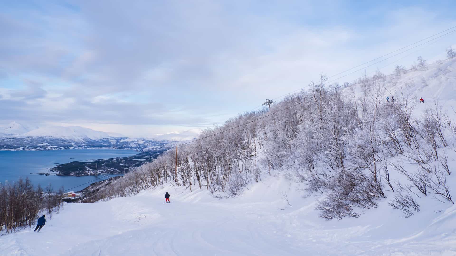 An image of a ski slope at the Narvikfjellet Ski Resort in Narvik, Norway. Two skiers are visible on the groomed, snow-covered mountain. The slope is lined with snow-dusted trees, and in the background, a wide fjord with dark blue water is visible, surrounded by snow-covered mountains. The sky is a mix of blue and light gray clouds, creating a peaceful and scenic view of this Northern European skiing destination.