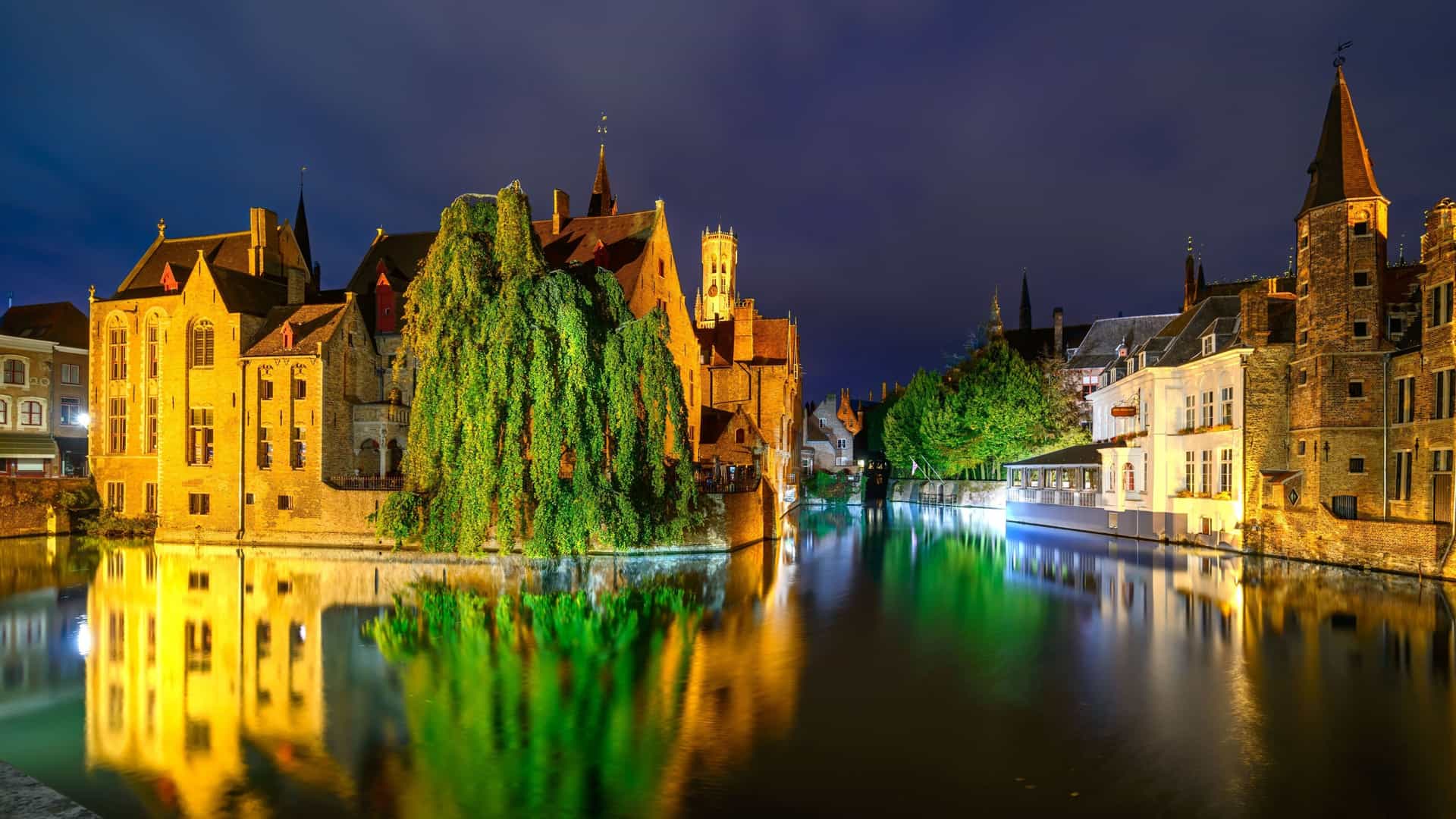A beautiful nighttime view of Bruges' canals, showcasing historic, illuminated buildings and trees reflecting on the still water.