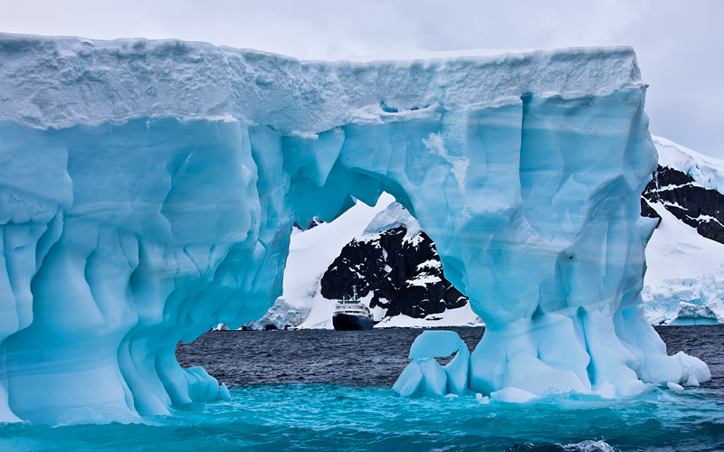 What cruise lines offer arctic cruises?