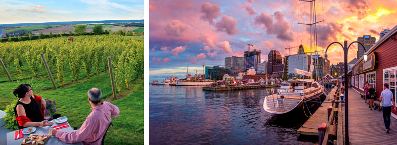 Vineyard and downtown Halifax, Nova Scotia
