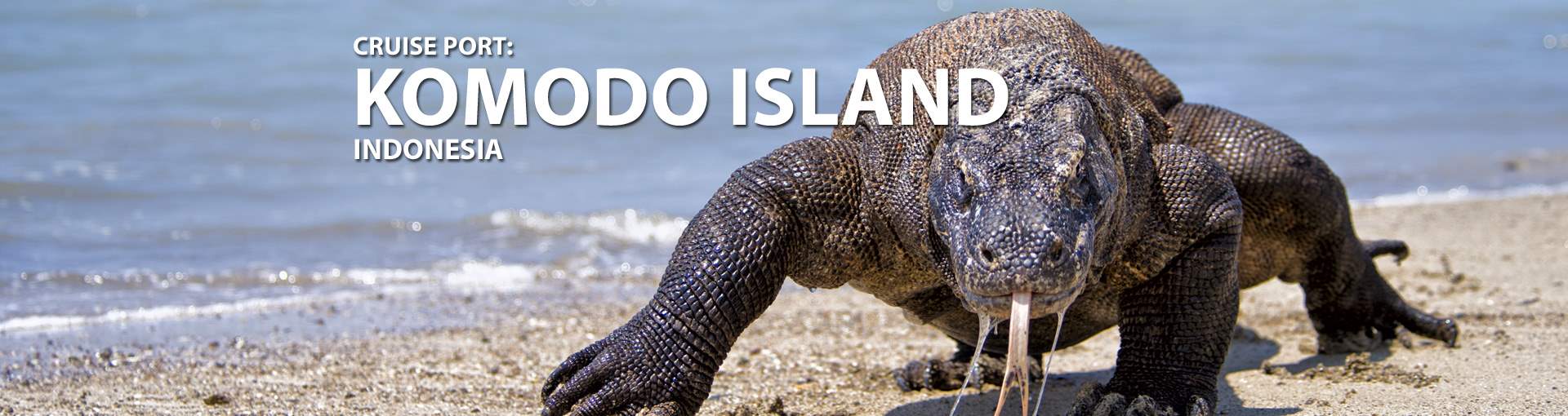 Komodo Island, Indonesia Cruise Port, 2019, 2020 and 2021 Cruises to ...