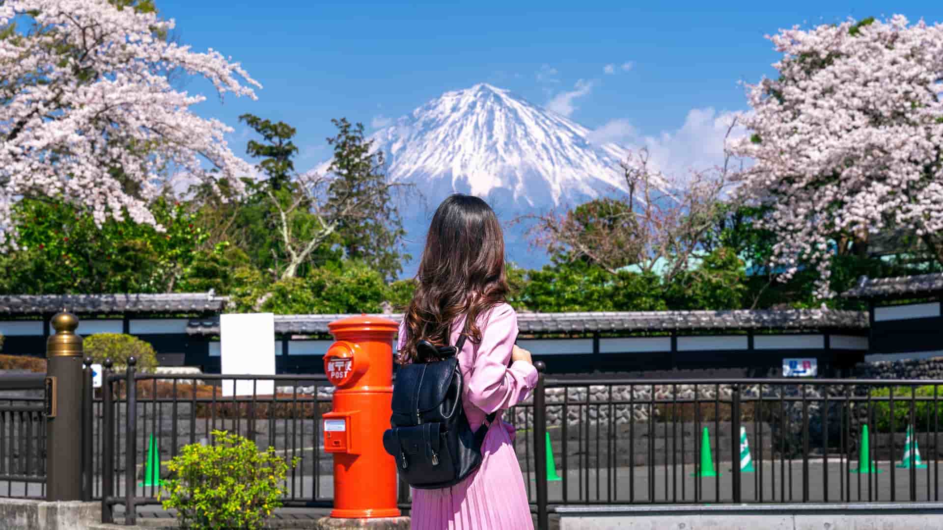 A woman wearing a pink jacket and black backpack stands at a viewing platform admiring snow-capped Mount Fuji in the distance, framed by white and pink cherry blossoms on either side. A traditional red Japanese mailbox and metal railing are visible in the foreground, with clear blue sky and green foliage completing the scenic spring landscape.