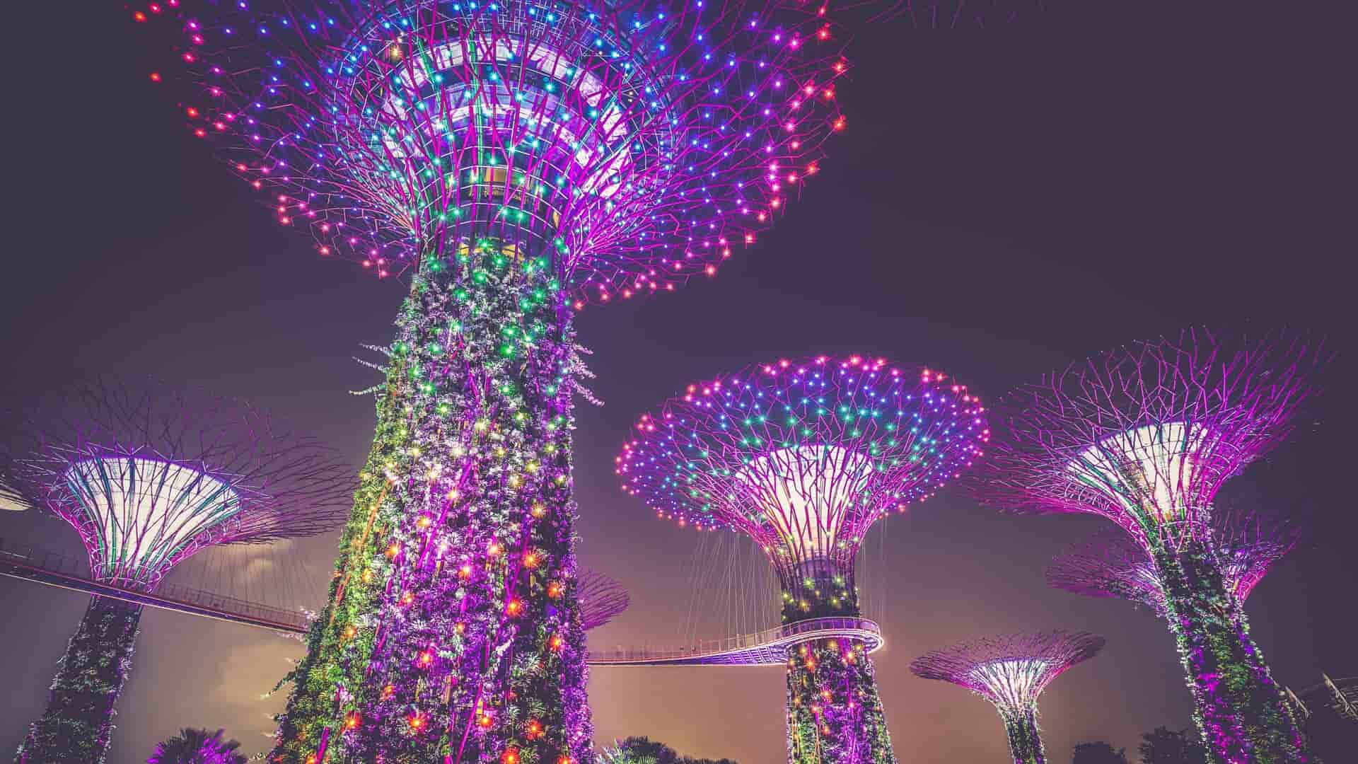 Marina Bay's Super Trees lit up at night in Singapore.