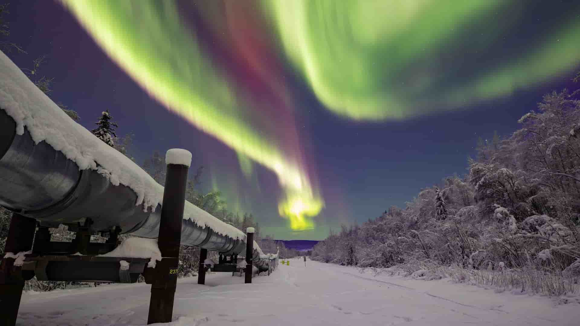 A dramatic night photograph of the vibrant green and red aurora borealis illuminating the dark sky over the snow-covered Alaska Pipeline.