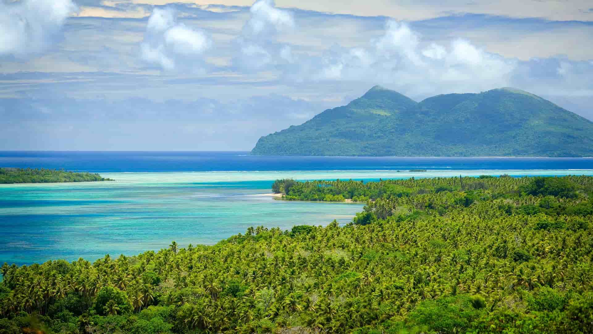 A scenic view of Ambrym Island, Vanuatu, showing a lush, green volcanic mountain and a bright turquoise lagoon, with a palm tree forest in the foreground.