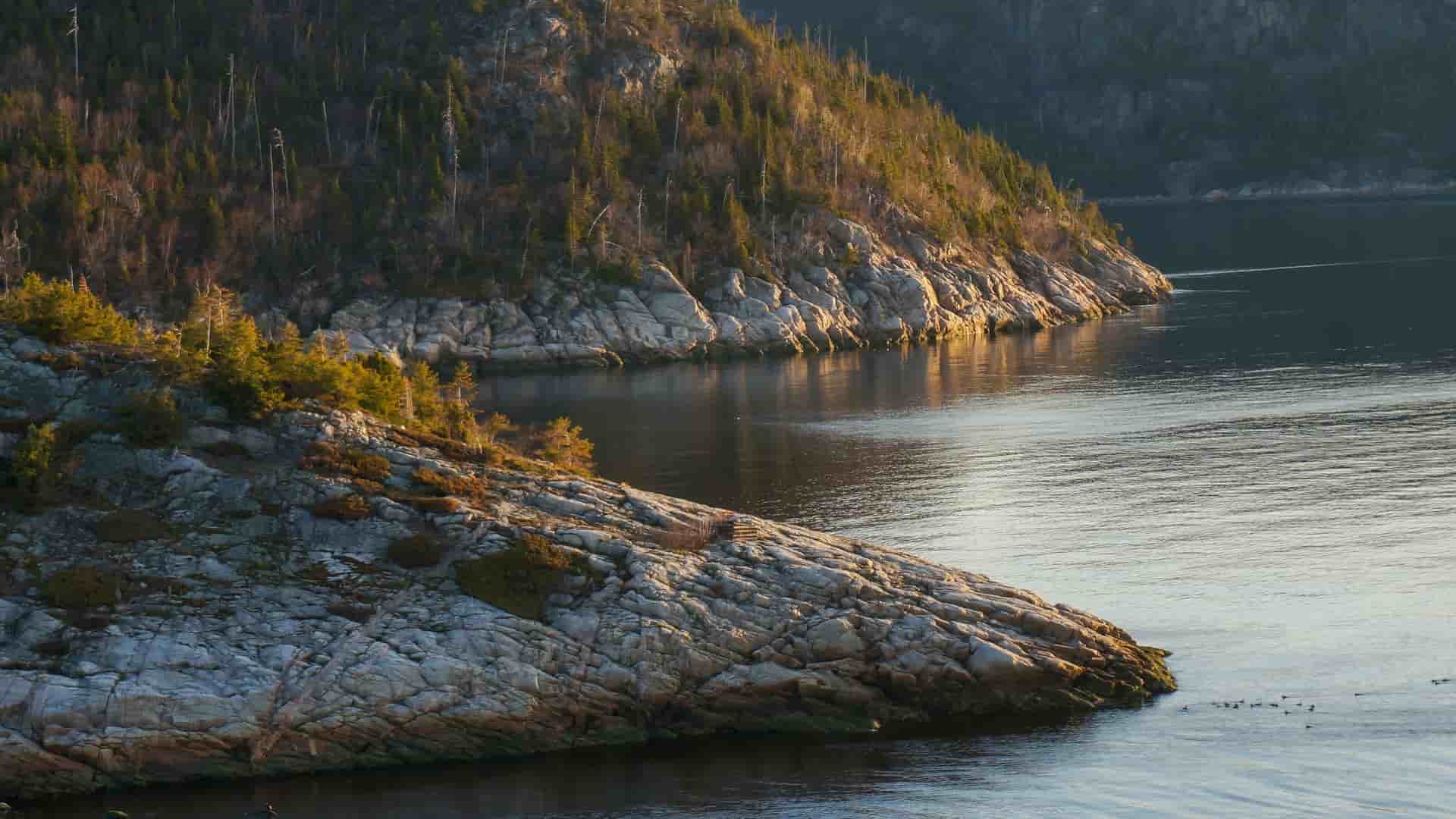 A beautiful shot of the rocky coastline of Baie-Comeau, a port city in Quebec, Canada, with rugged cliffs covered in pine trees meeting the calm, reflective waters of the bay.