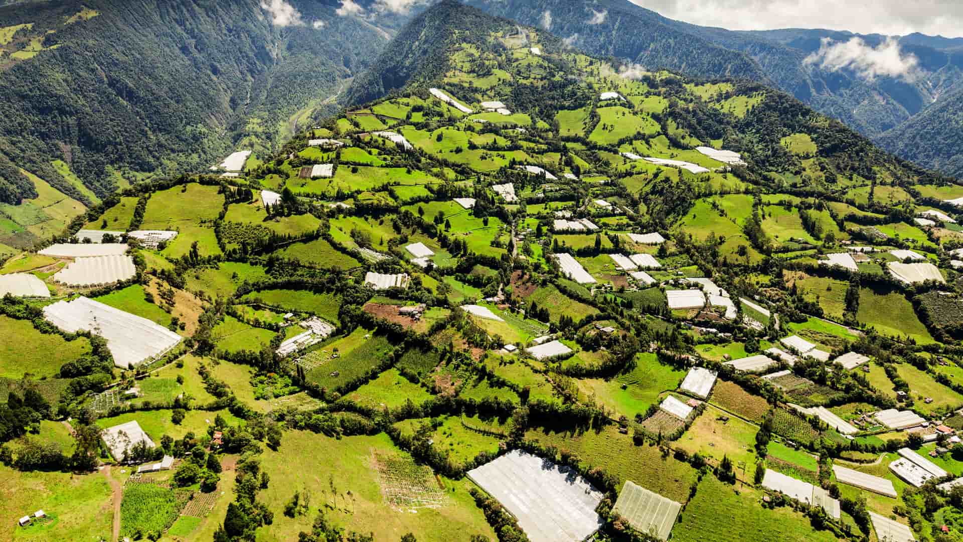 An aerial view of the steep, green hillsides near Baños, Ecuador. The land is a vibrant mosaic of small agricultural fields and numerous white, plastic-covered greenhouses, creating a striking patchwork pattern on the mountain slopes under a partly cloudy sky.