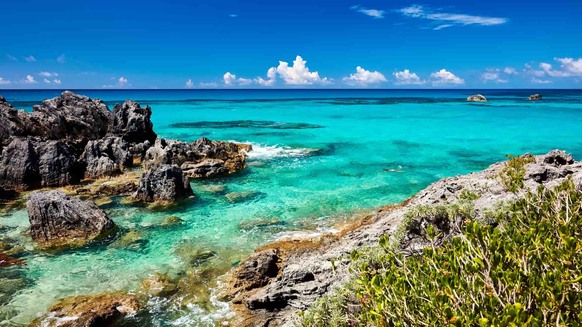 A breathtaking seascape of Horseshoe Bay in Bermuda, with turquoise water and waves crashing against volcanic rock formations under a bright blue sky.