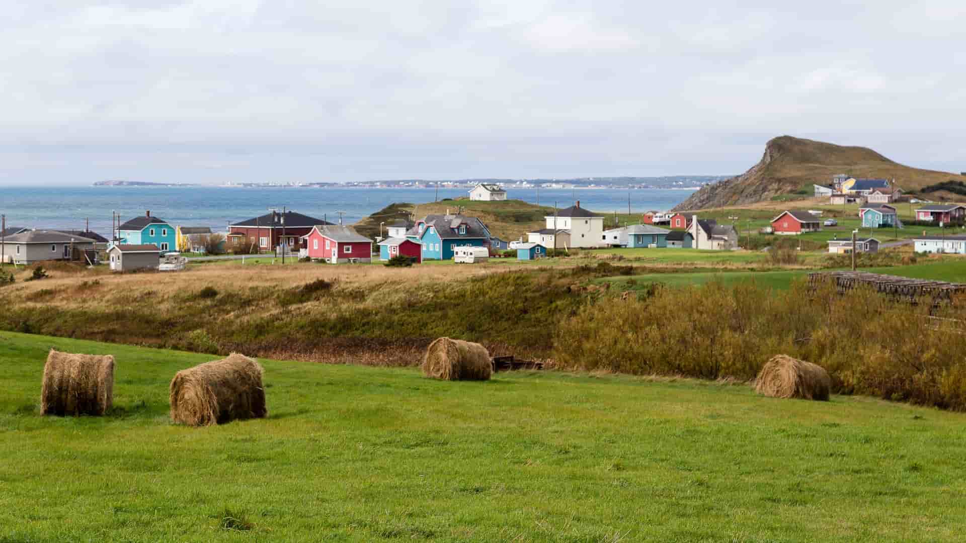 A panoramic landscape of the rolling green hills and hay bales of Cap-aux-Meules, Quebec, with a cluster of colorful houses overlooking the sea and a small town in the distance.