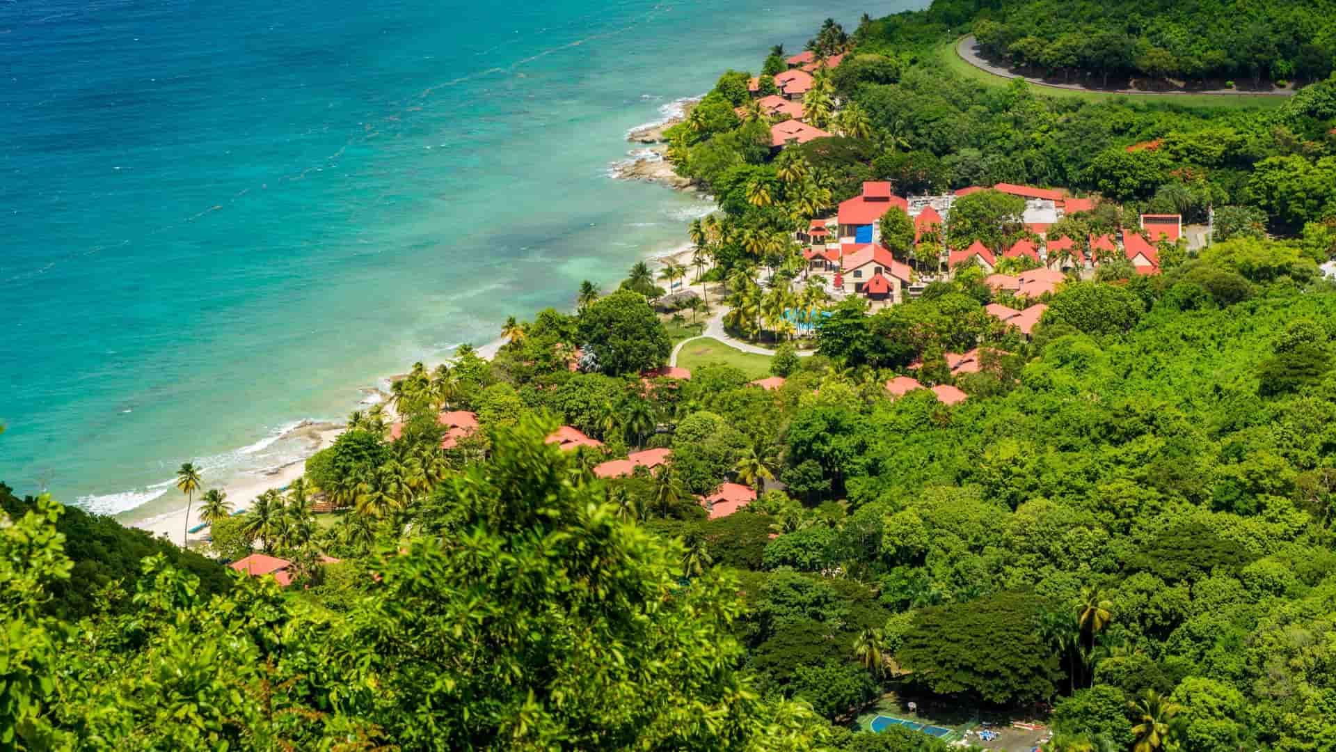 An aerial view of Carambola Beach Resort in St. Croix, with red-roofed buildings nestled among lush green tropical trees along the turquoise Caribbean Sea.