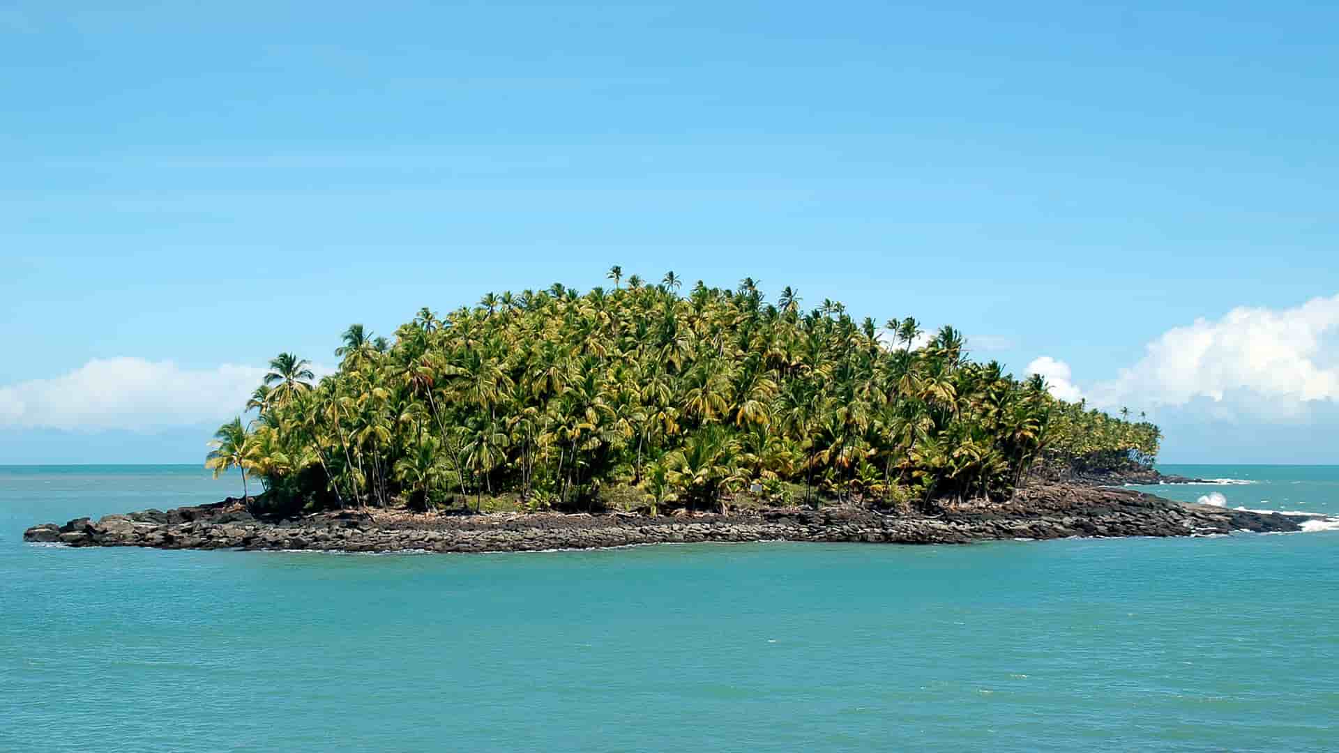 A scenic view of Devil's Island, a small tropical island in French Guiana, completely covered by a dense forest of palm trees.