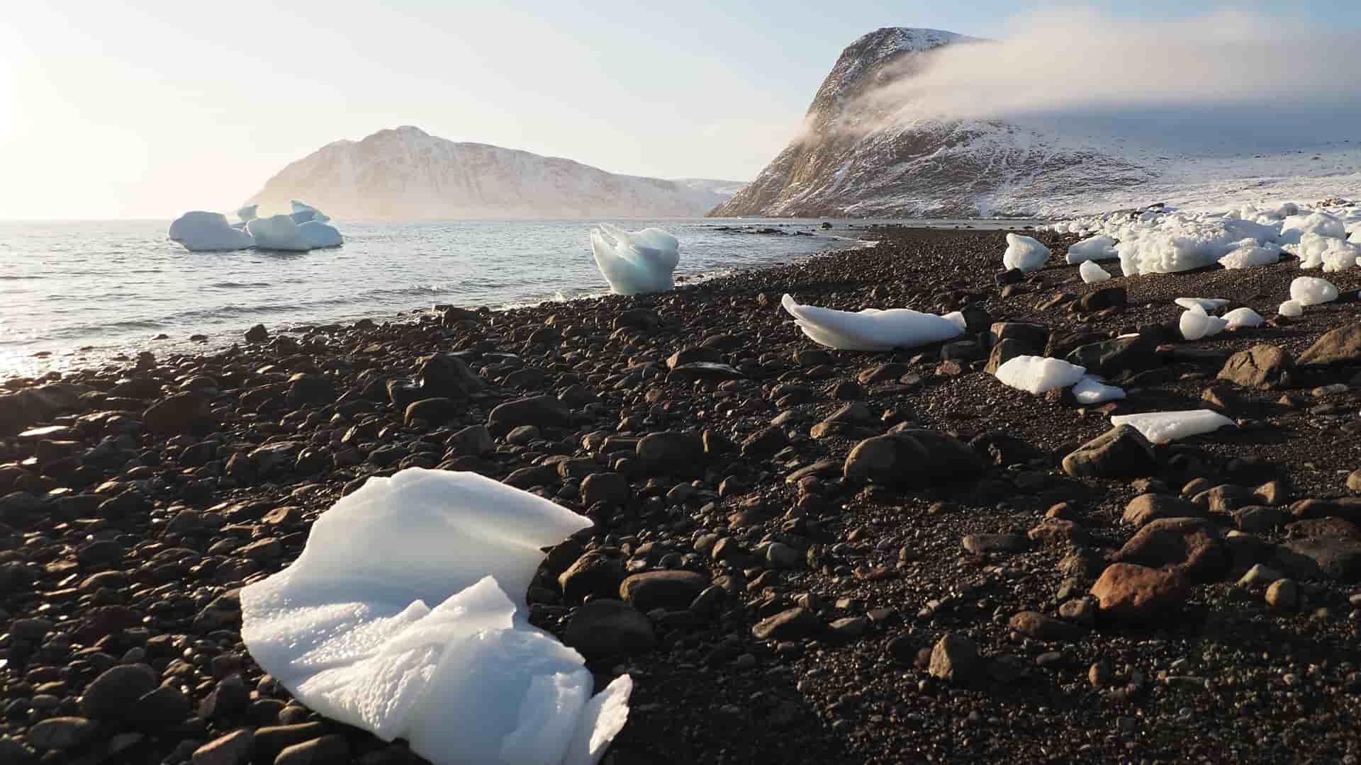 "A rugged Arctic beach with large black and brown stones, with pieces of white ice and small icebergs scattered on the shore and floating in the water, with snow-covered mountains in the distance at Erik Cove, Nunavut.  "