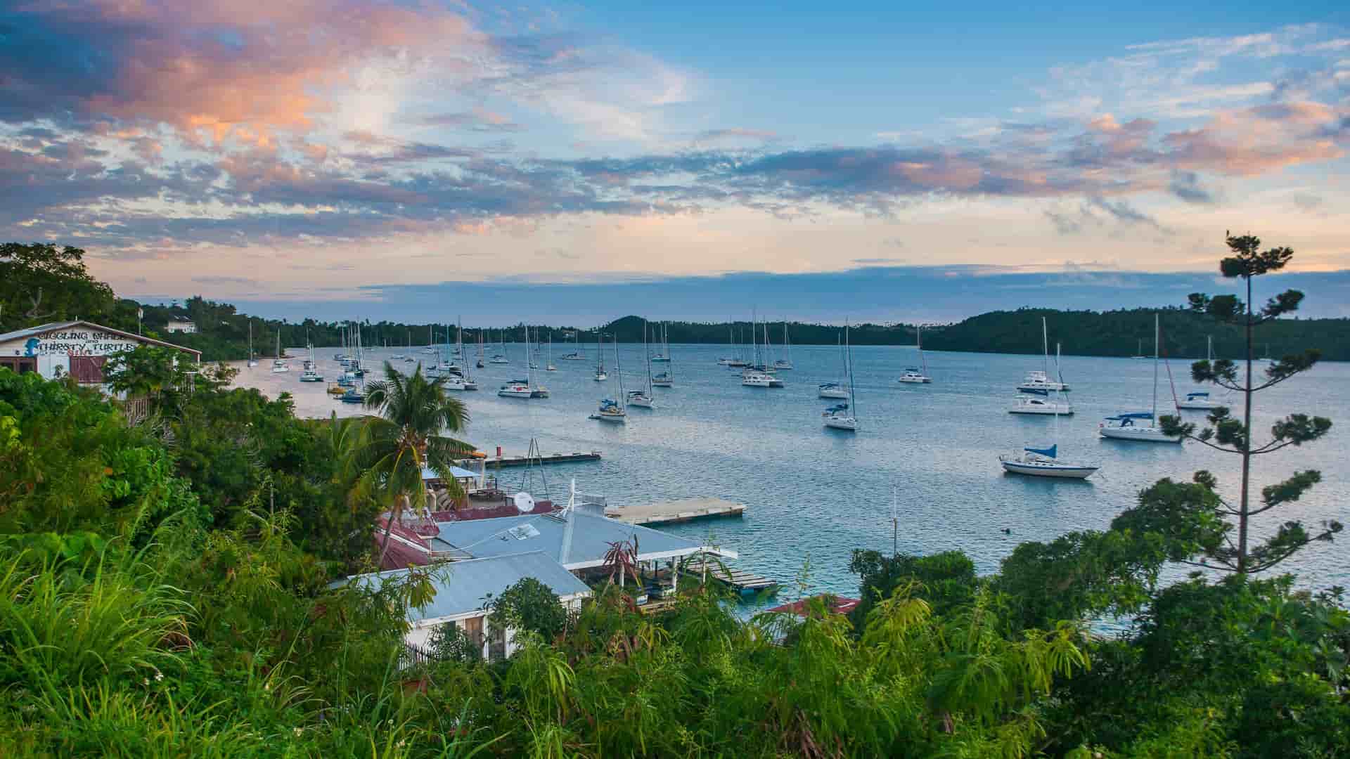A panoramic view of a bay filled with numerous sailboats and yachts at sunset, with lush green trees and waterfront buildings on the shore.