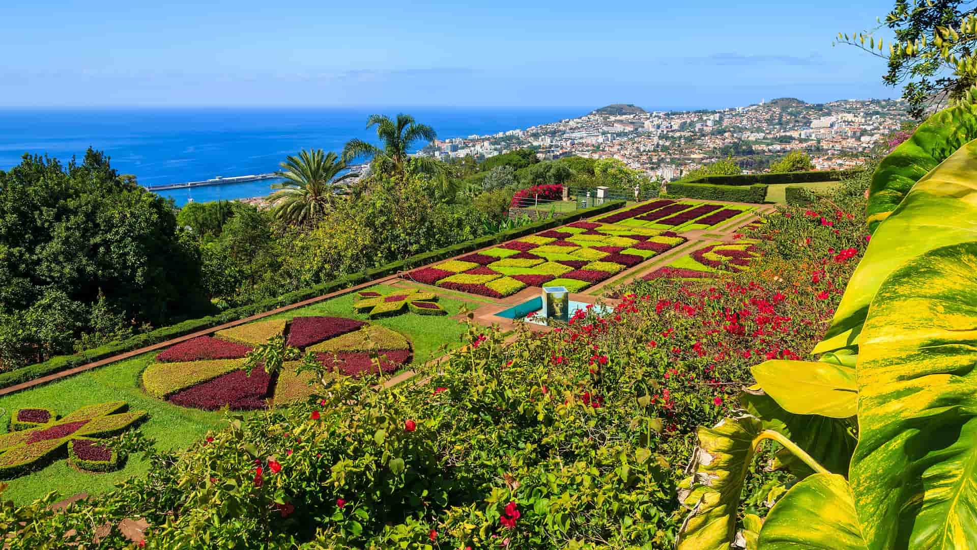 A beautiful panoramic shot from a garden in Funchal, Madeira, Portugal, showcasing meticulously manicured flower beds in geometric patterns with the city and the Atlantic Ocean in the background.