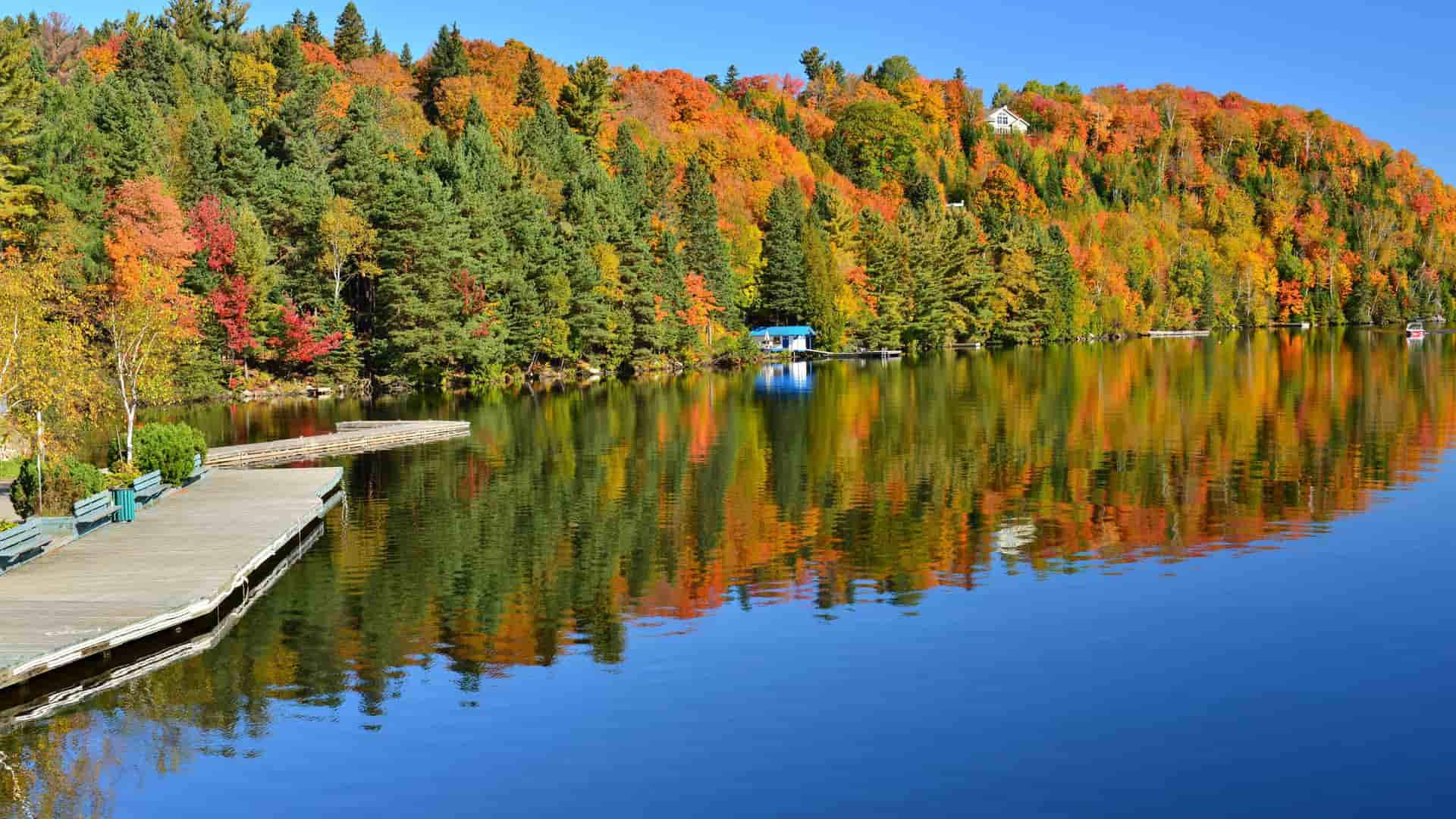 A stunning autumn landscape in Havre-Saint-Pierre, Quebec, with a lake reflecting a forest of trees in various shades of green, yellow, and orange, with a wooden pier in the foreground.