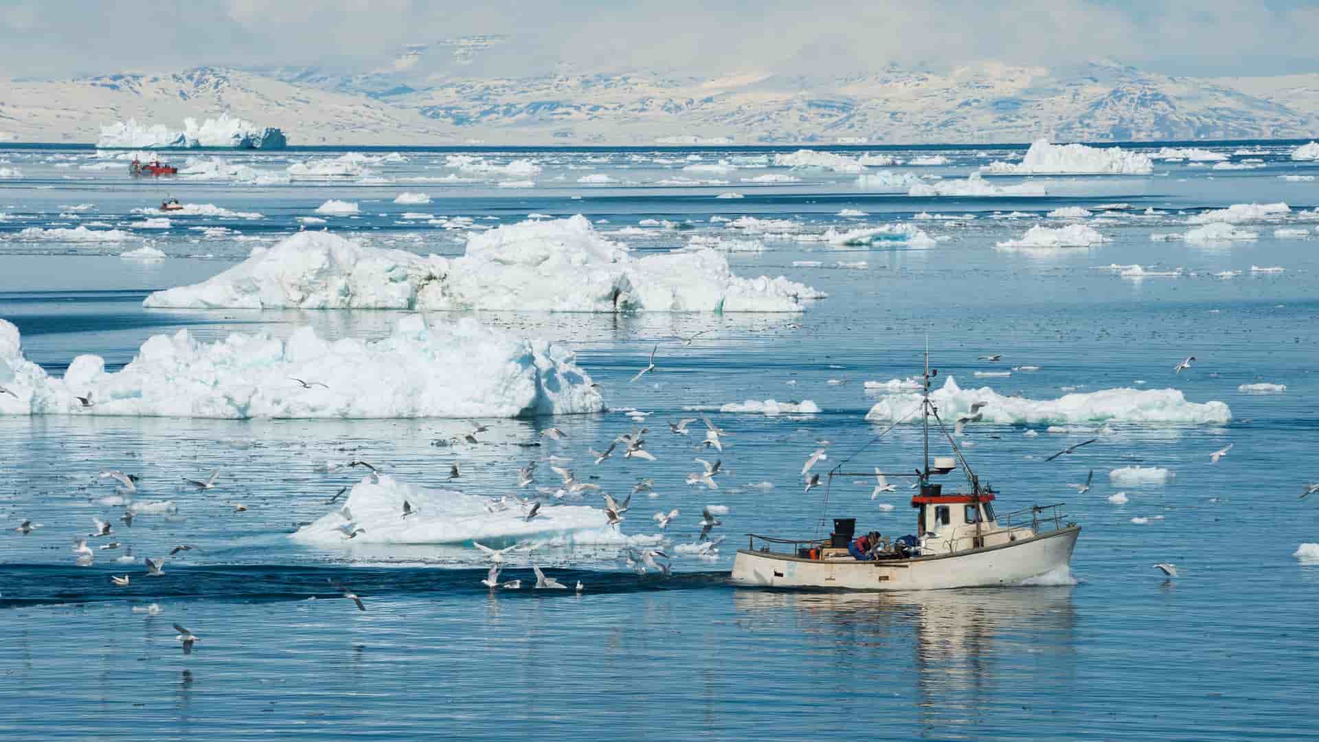 A small fishing boat navigates the icy waters of Ilulissat, Greenland, surrounded by large icebergs and a flock of seagulls, with snow-covered mountains in the distance.