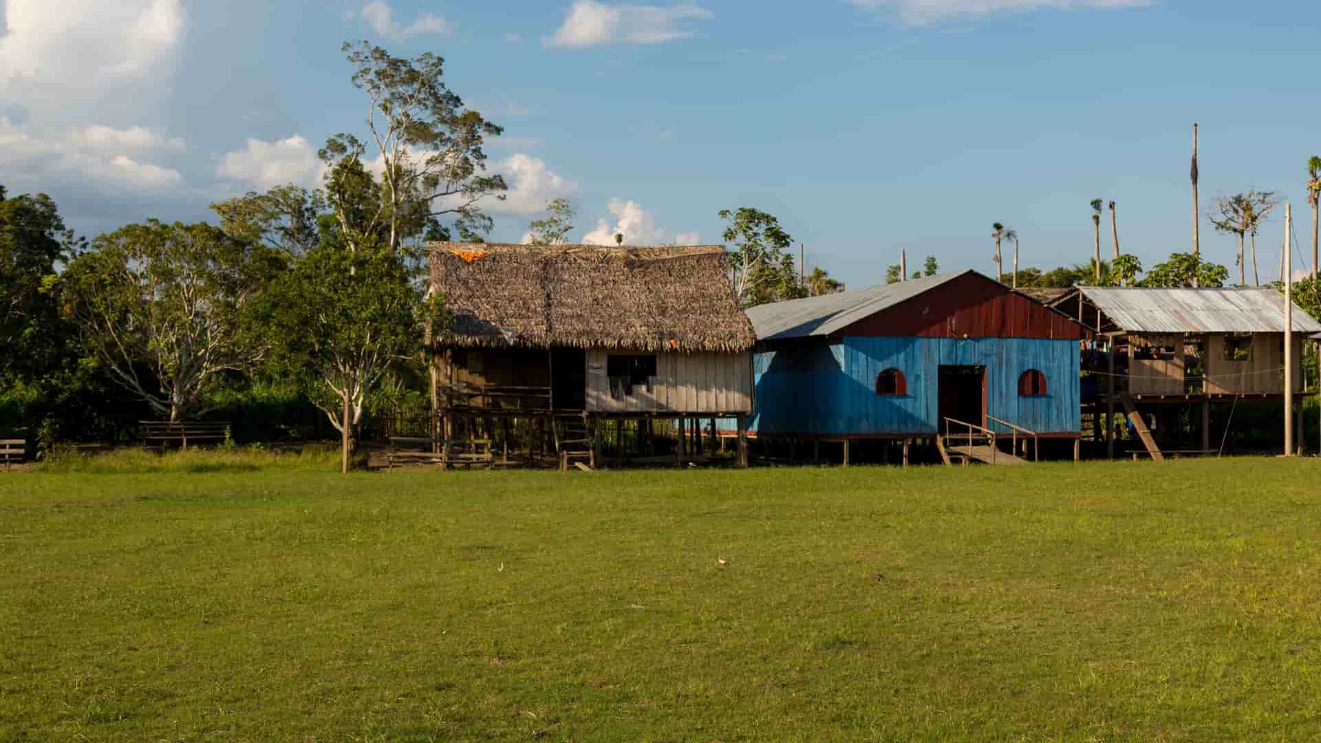 A rustic row of traditional stilt houses, some with thatched roofs, surrounded by a grassy field and lush jungle foliage near Iquitos and Nauta, Peru.