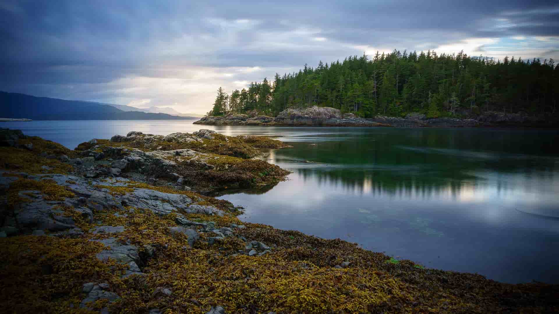 A tranquil view of Johnstone Strait, with calm water reflecting the forested coastline under a dramatic, cloudy sky.