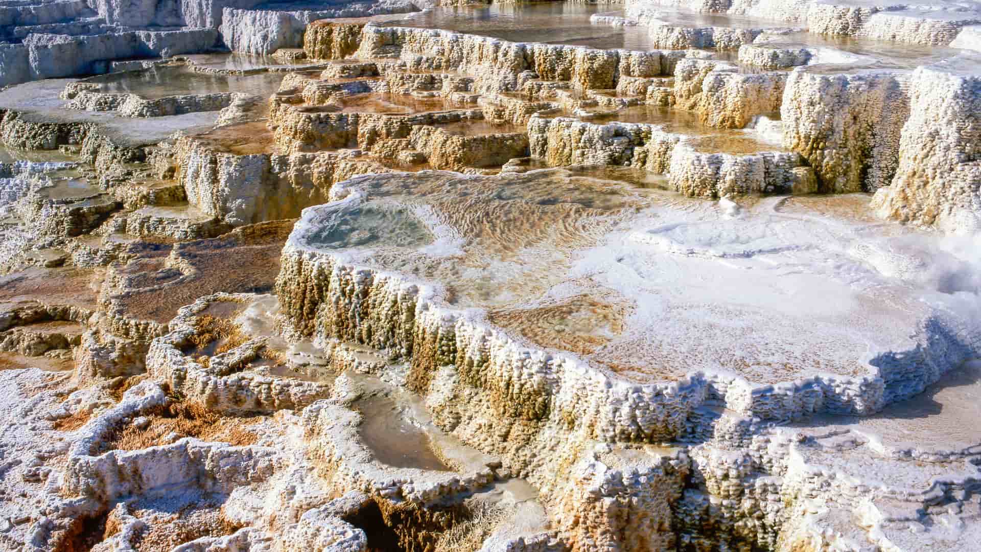 "A close-up view of the multi-level travertine terraces and hot springs at Mammoth Hot Springs in Yellowstone National Park, Wyoming.  "