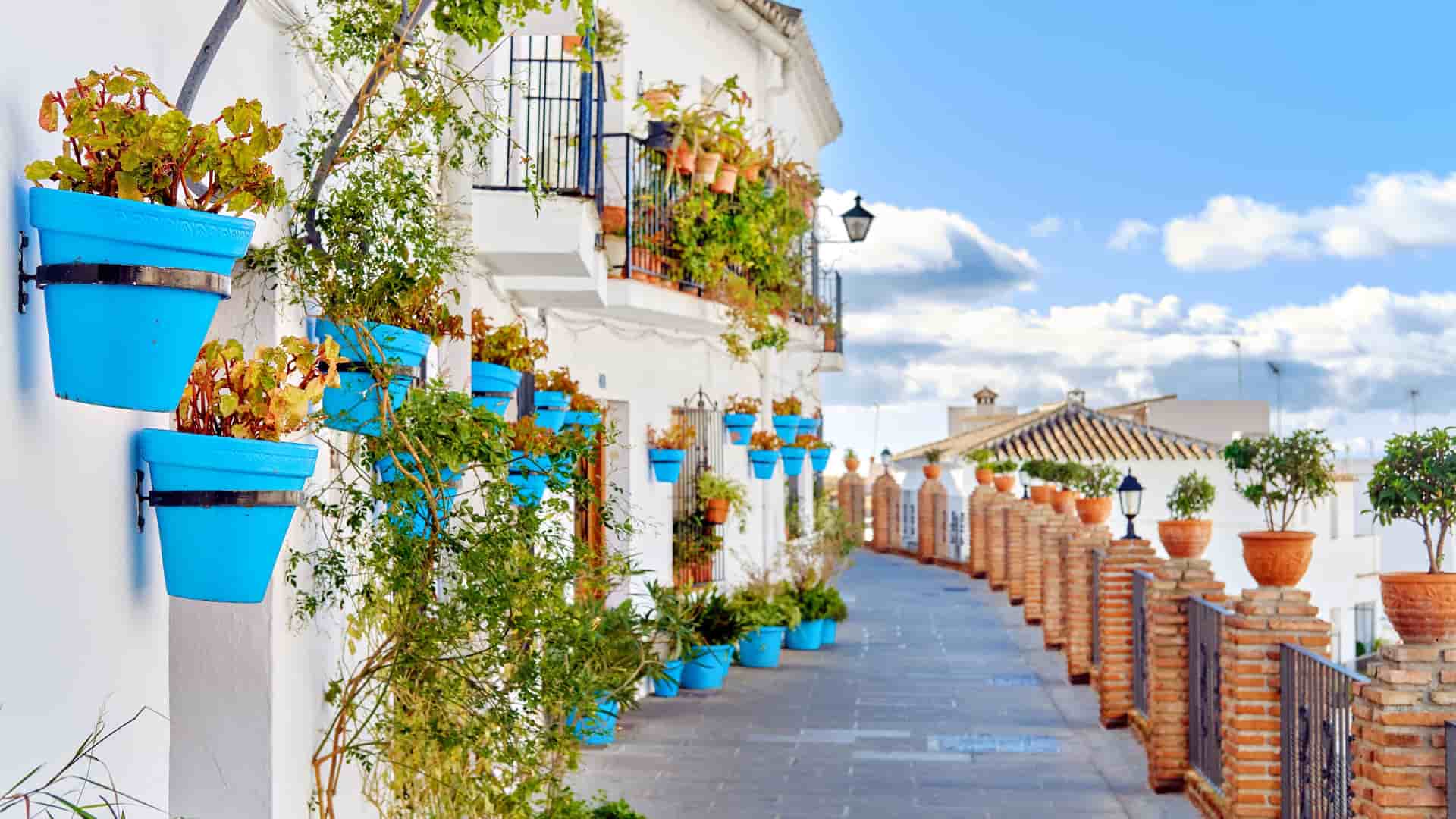 "A classic view of a whitewashed street in Mijas, Costa del Sol, Spain, adorned with vibrant blue pots filled with red geraniums and a long row of terracotta pots.  "
