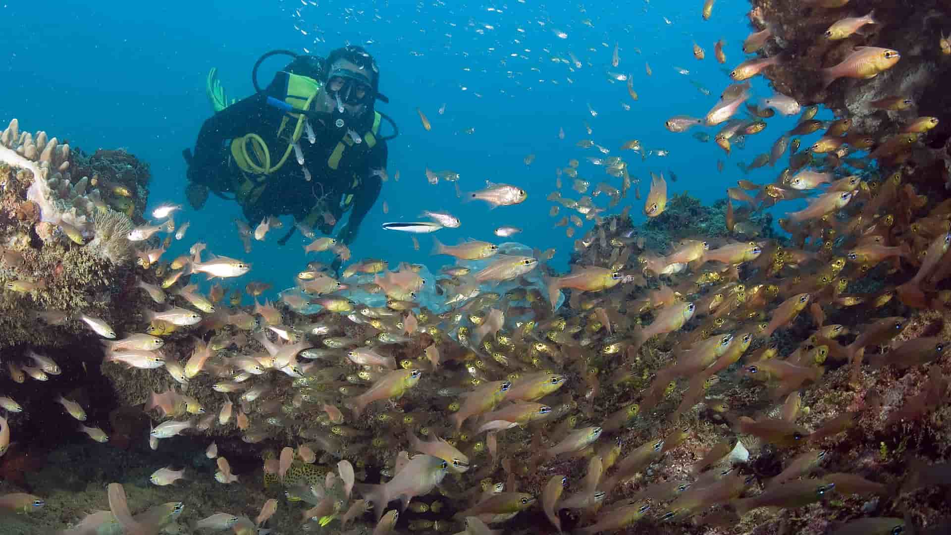 A picturesque row of traditional red wooden boathouses, known as "rorbuer," built on stilts over the tranquil waters of a fjord near Molde, Norway.
