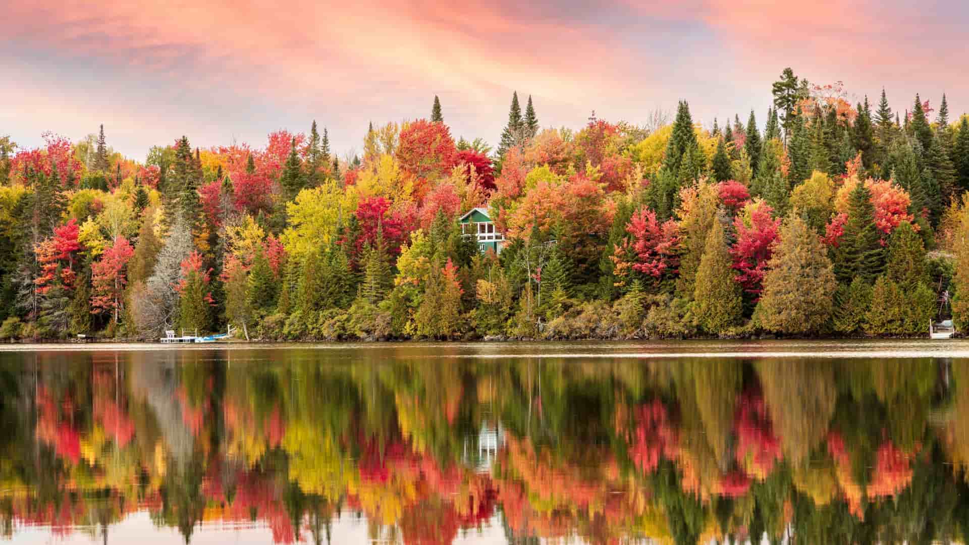 A serene lake reflecting a forest of trees in full autumn color, including red, orange, and yellow foliage, with a small cabin nestled among the colorful trees near Montebello, Canada.