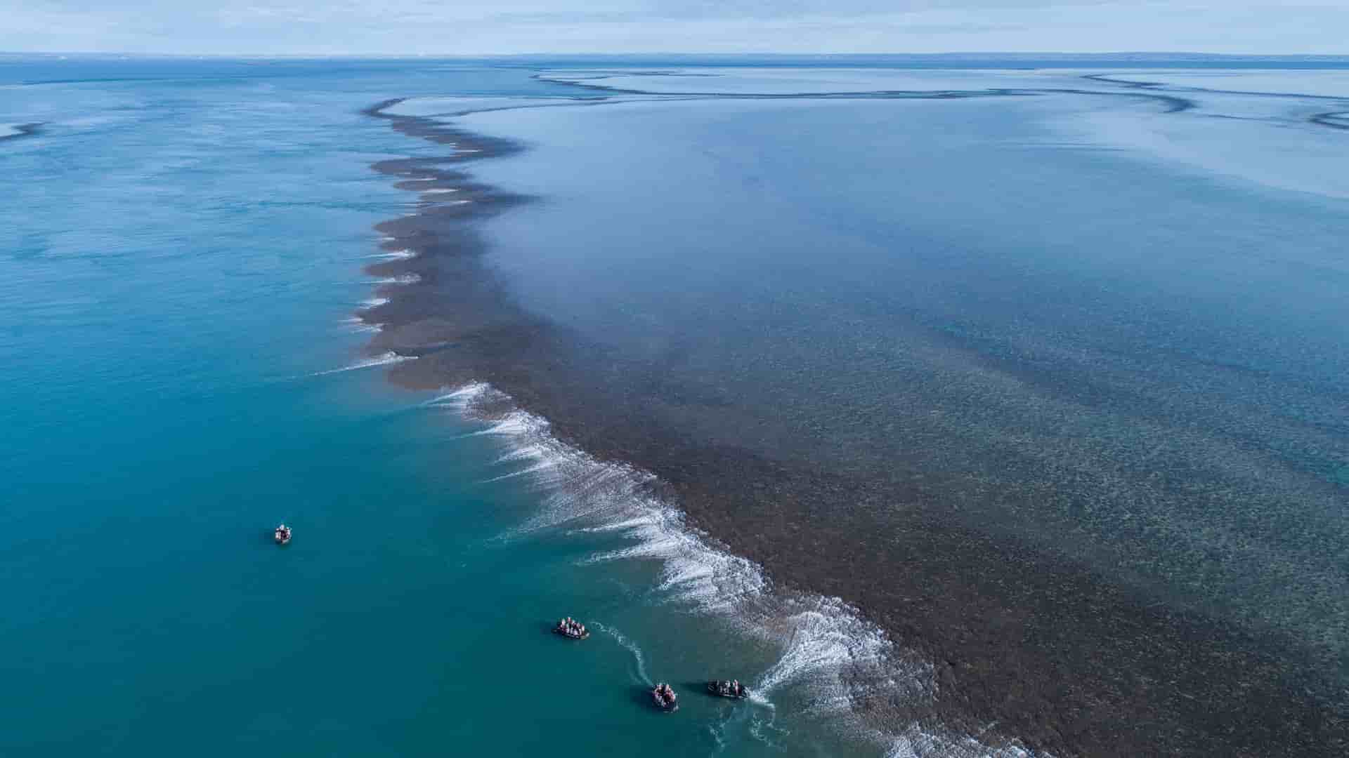 An aerial view of Montgomery Reef, Australia, showing the dramatic tidal ebb with a massive wall of cascading water flowing over the exposed coral reef and into the deep blue ocean.