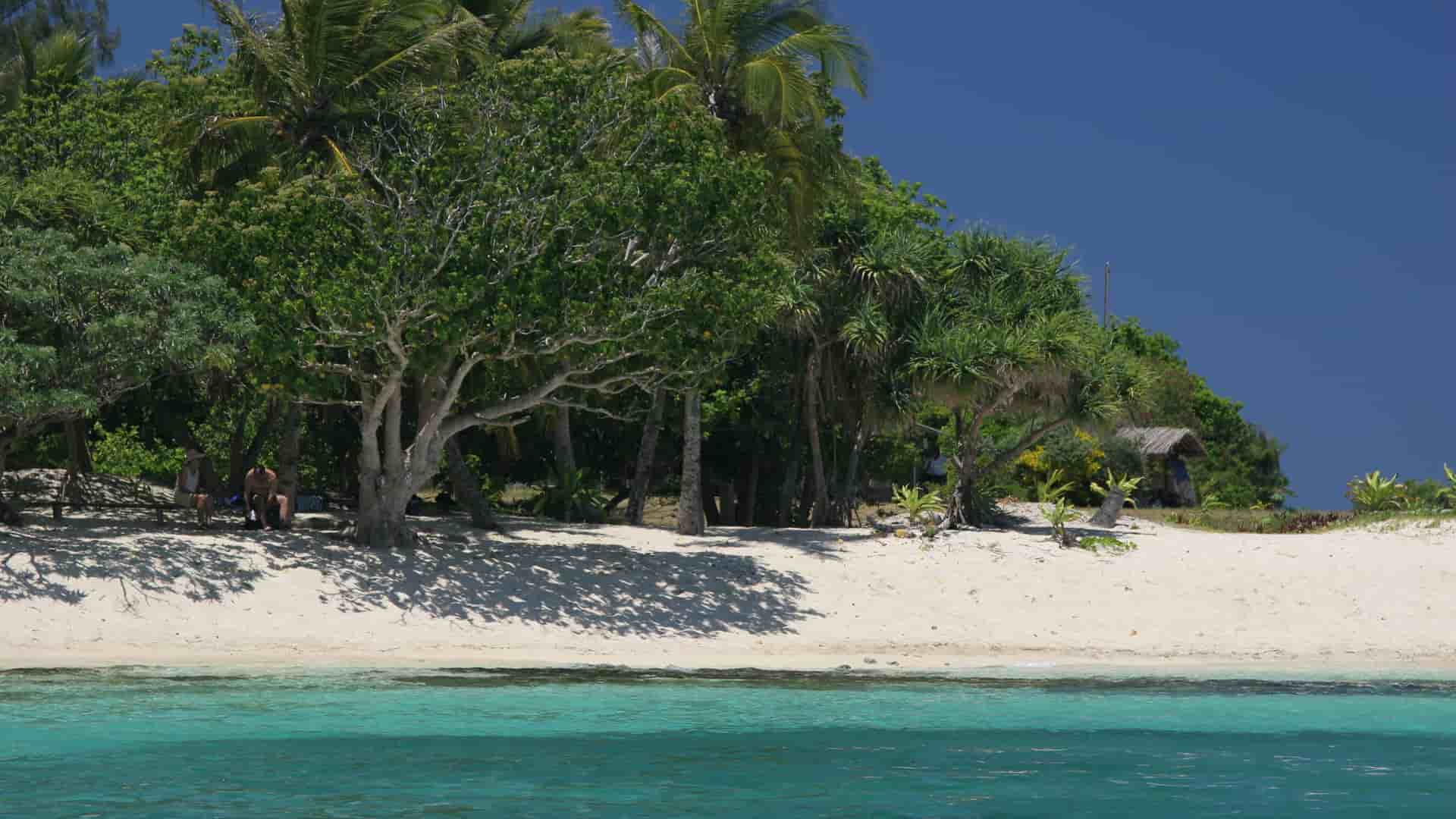 A scenic view of the white sand beach and lush palm trees of Mystery Island, Aneityum, with calm, turquoise water under a clear blue sky.