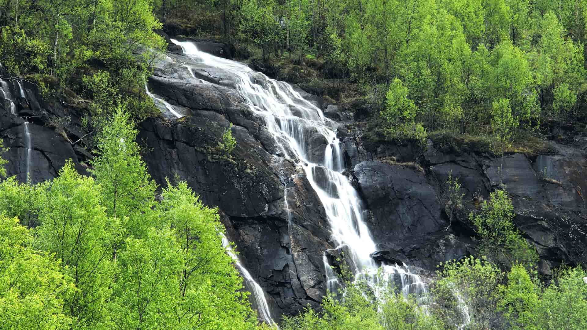 A cascading waterfall flows over a dark, rocky cliff face surrounded by lush green trees, a scenic landscape near Narvik, Norway.