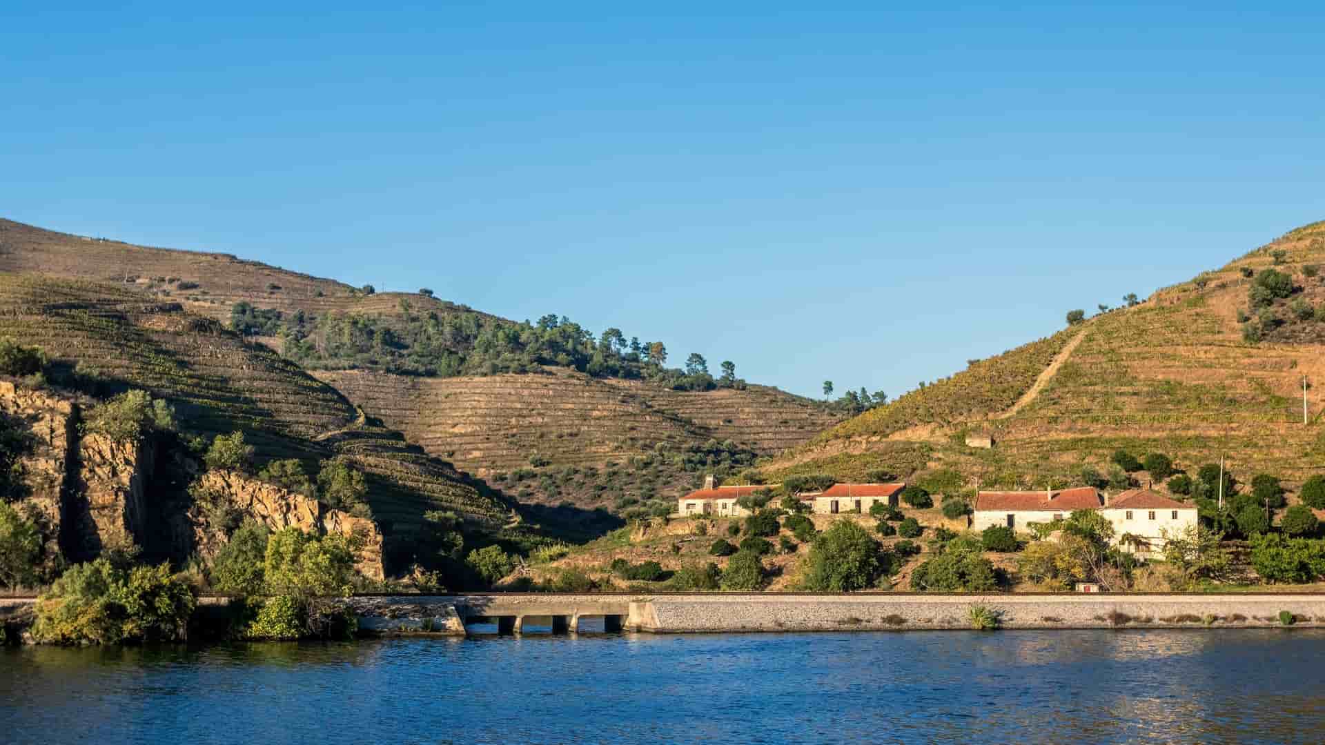 A wide-angle view of the Douro River in Portugal, with a small village and terraced vineyards on the surrounding hillsides, a prominent feature of Peso da Régua.