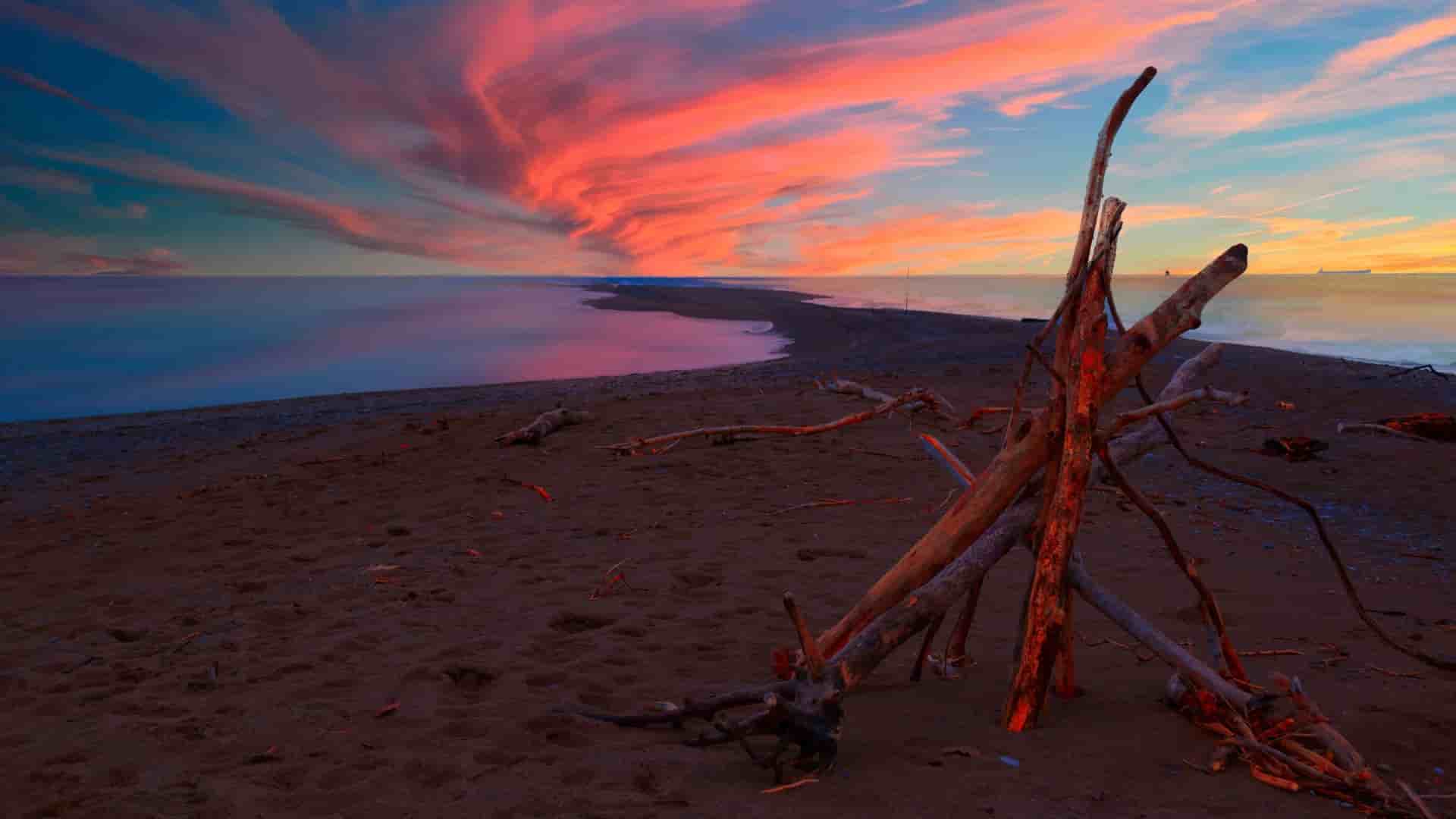 A striking sunset over the sandy spit at Point Pelee National Park in Ontario, Canada, with vibrant red and pink clouds streaking across the sky and large pieces of driftwood on the beach.