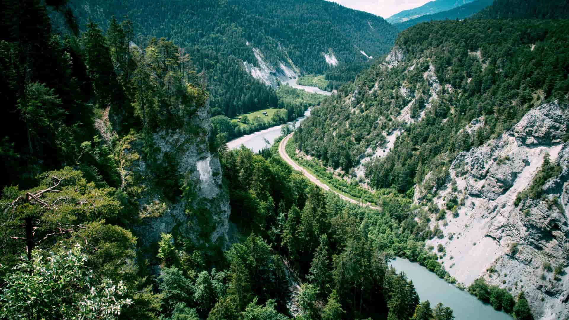 An aerial view of the Rhine Gorge, Switzerland, with a winding river and a small road carving through a lush, green forest and steep, rocky cliffs.