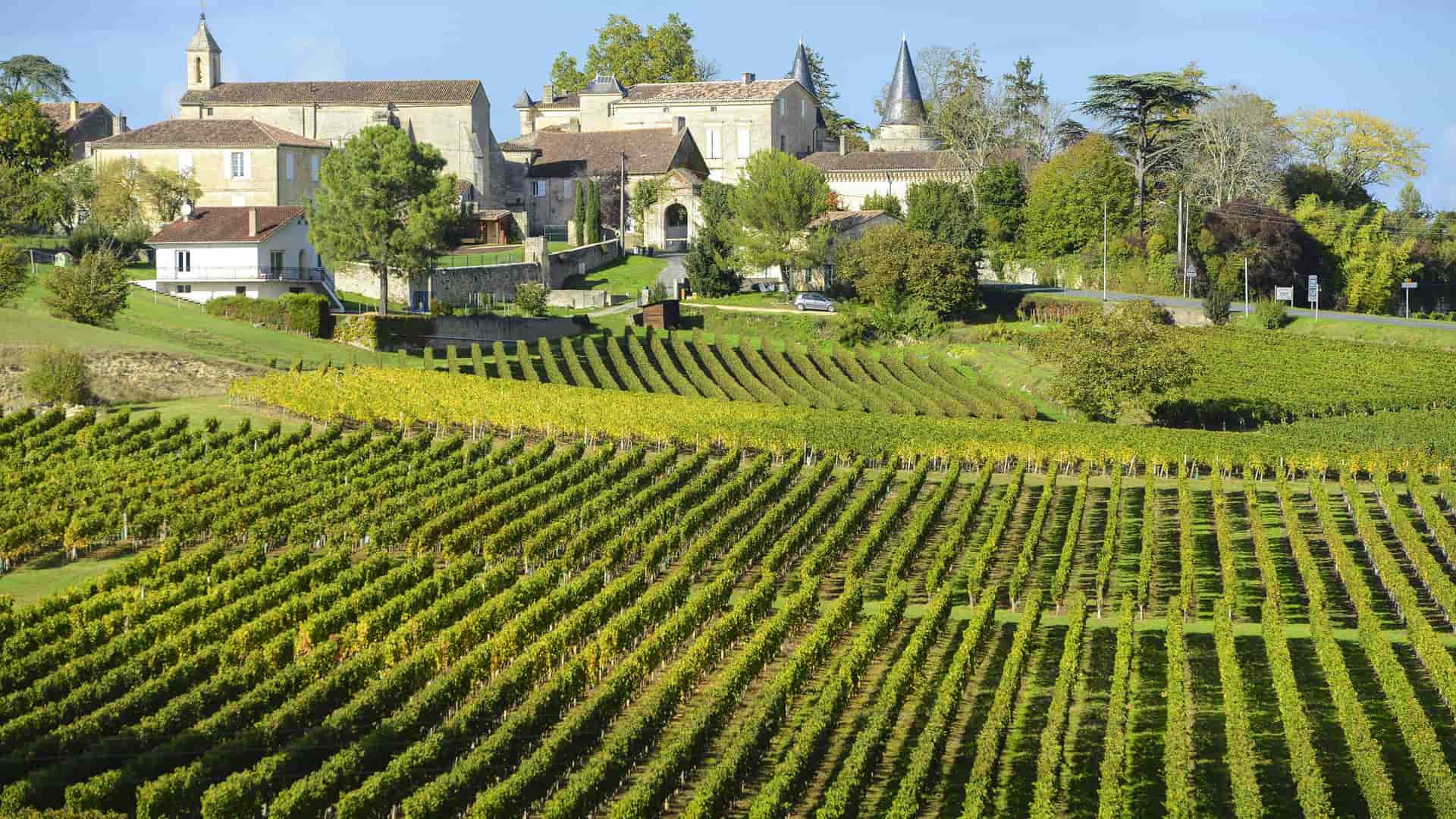 A scenic landscape of the UNESCO World Heritage site of Saint-Émilion, France, featuring sprawling vineyards in the foreground and a historic village with traditional stone houses on a hill in the background.