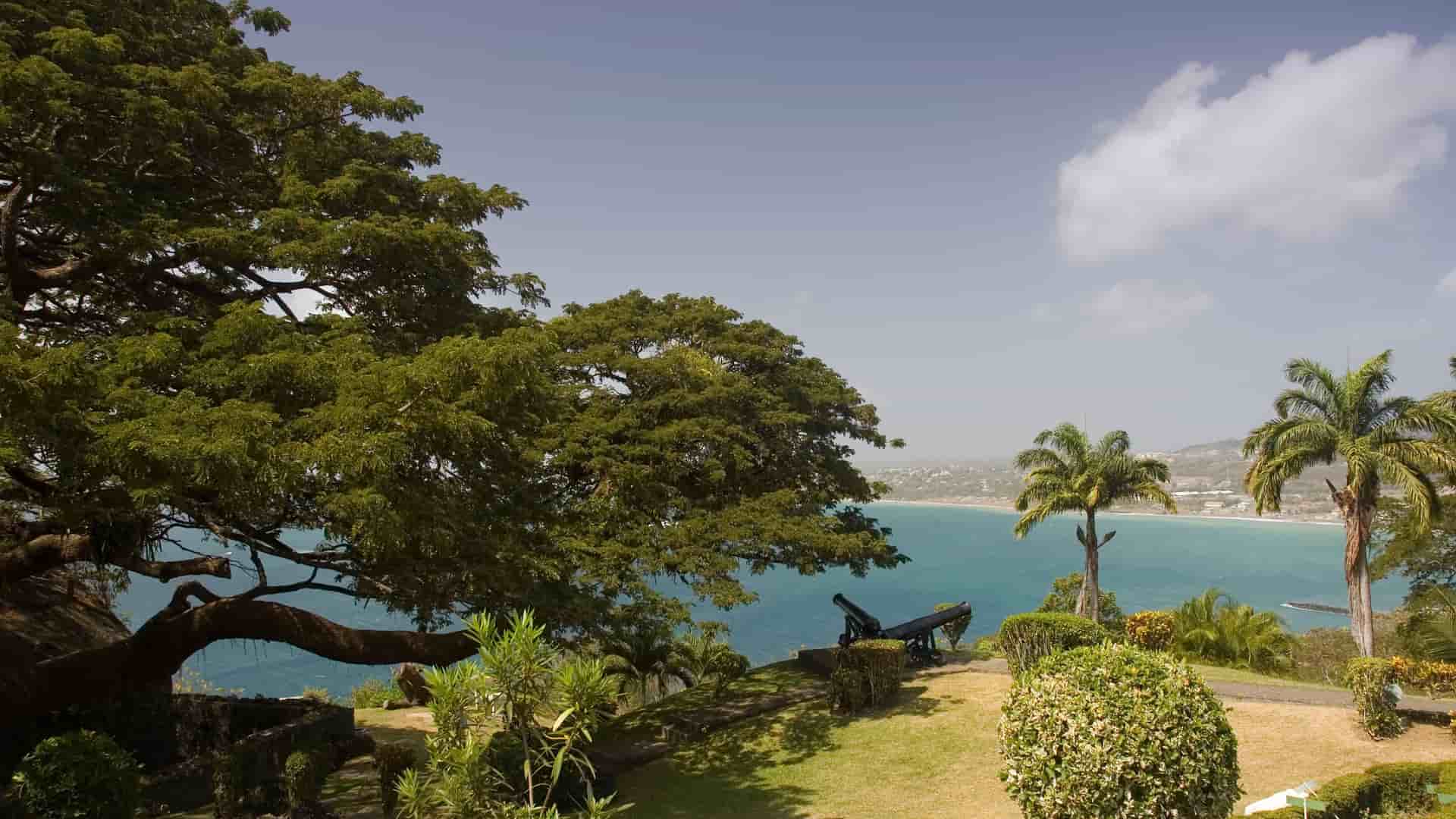 A beautiful view from Fort King George in Scarborough, Tobago, with historic cannons overlooking the Caribbean Sea and the town below, framed by lush tropical trees.