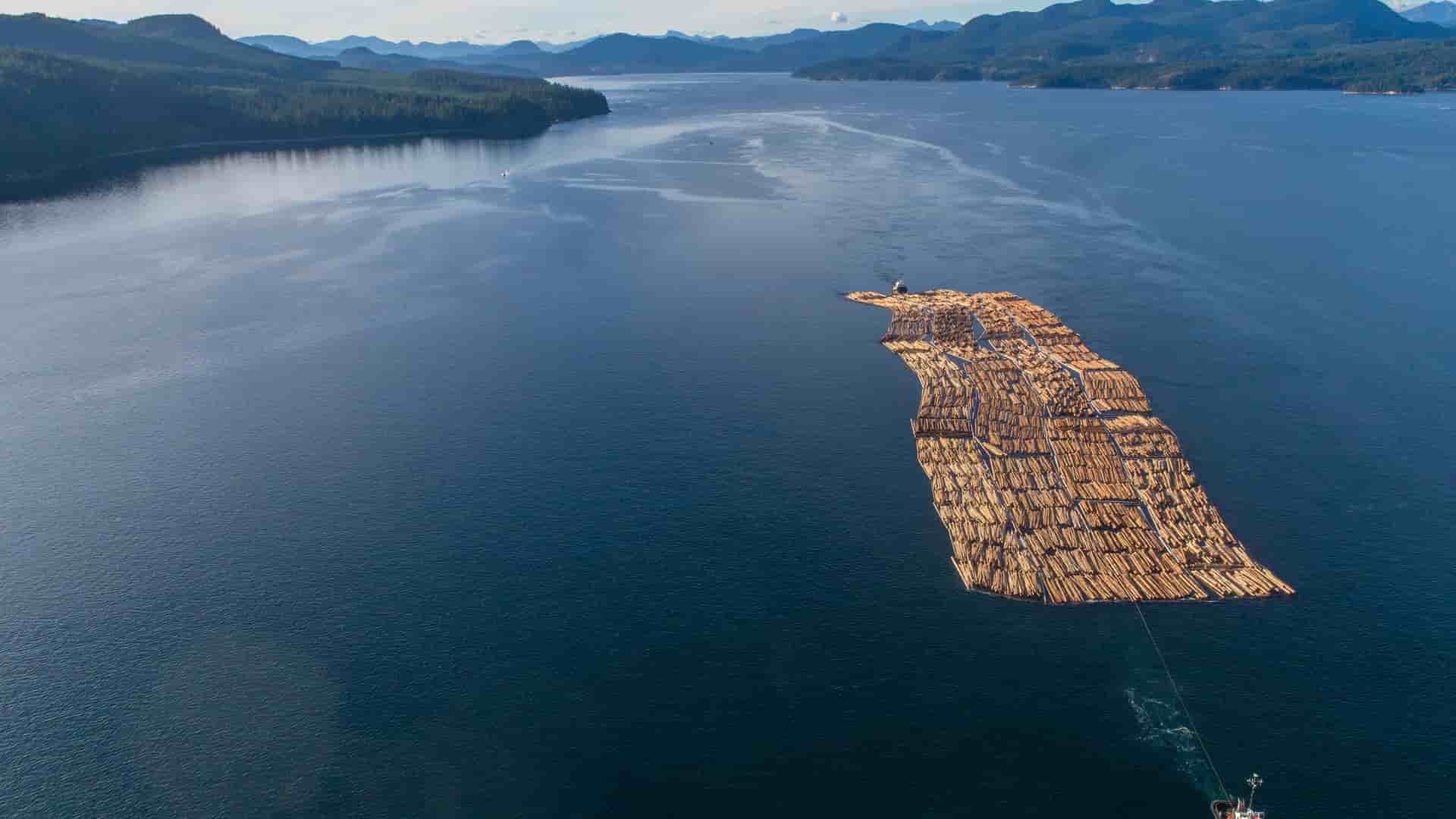 An aerial view of a massive log boom being towed through the tranquil waters of Seymour Narrows, British Columbia, surrounded by lush green forested shorelines and mountains in the distance.