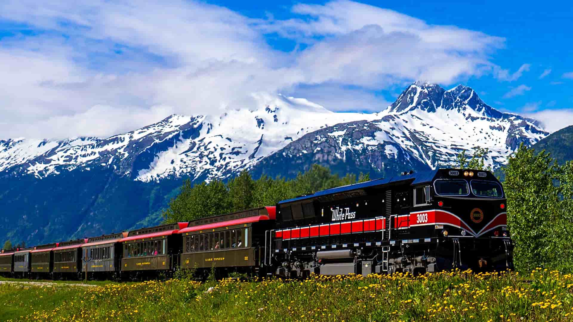 A classic black and red White Pass and Yukon Route railway train travels through a field of yellow wildflowers with the majestic snow-capped mountains of Alaska in the background.