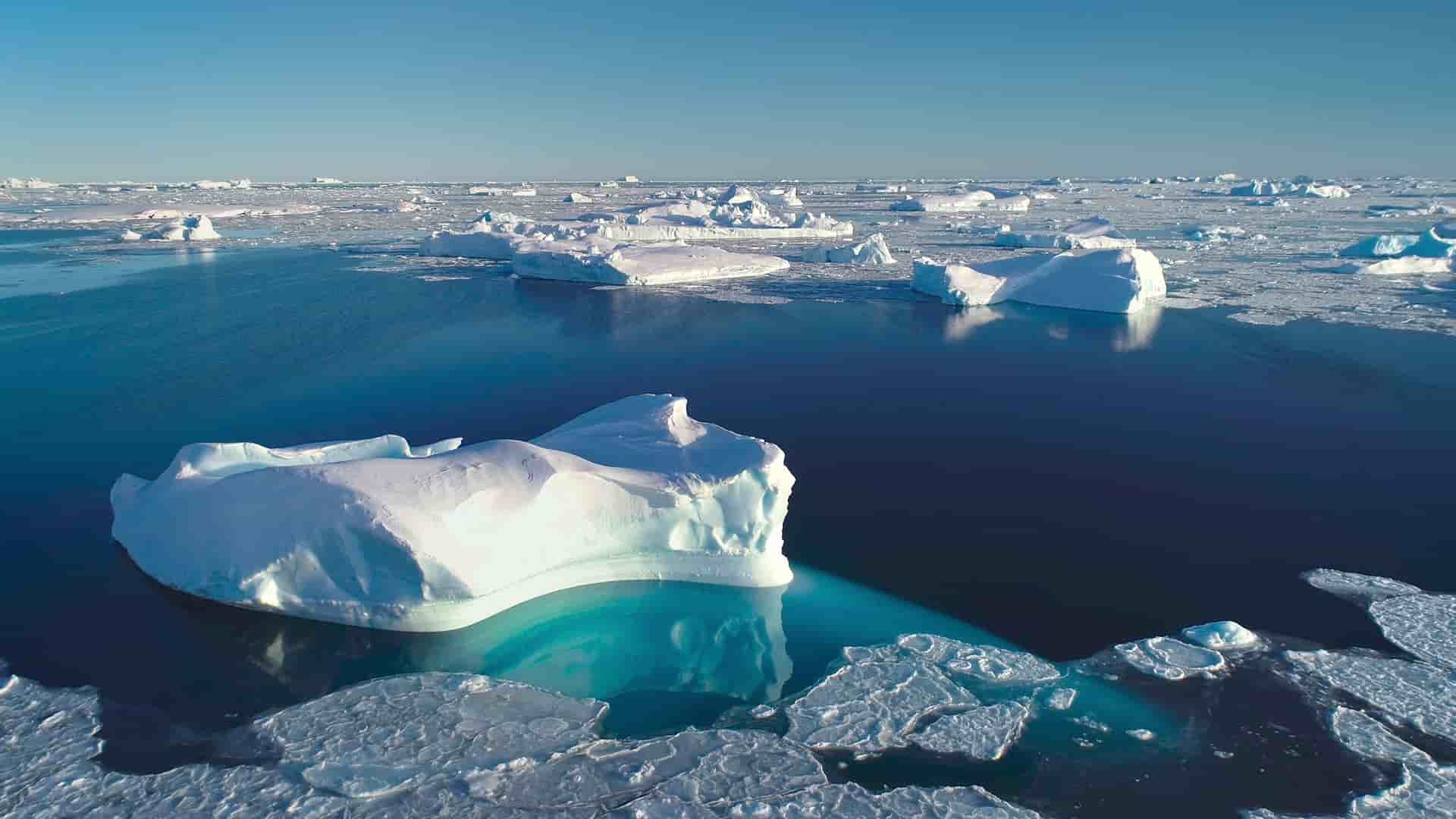 "A vast body of water in South Greenland with a large, uniquely shaped iceberg and smaller ice floes floating on the surface under a clear blue sky.  "