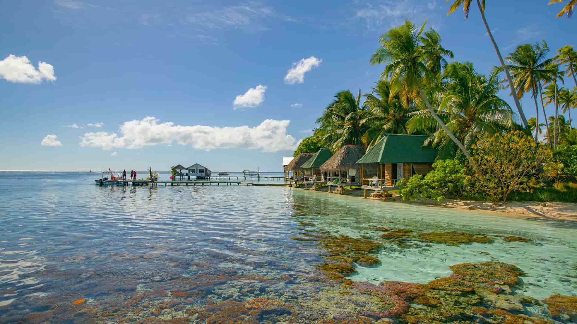 "A tranquil view of overwater bungalows and a wooden pier on a secluded white sand beach, surrounded by palm trees and a vibrant coral reef in the crystal clear turquoise waters of Taha'a, French Polynesia.  "