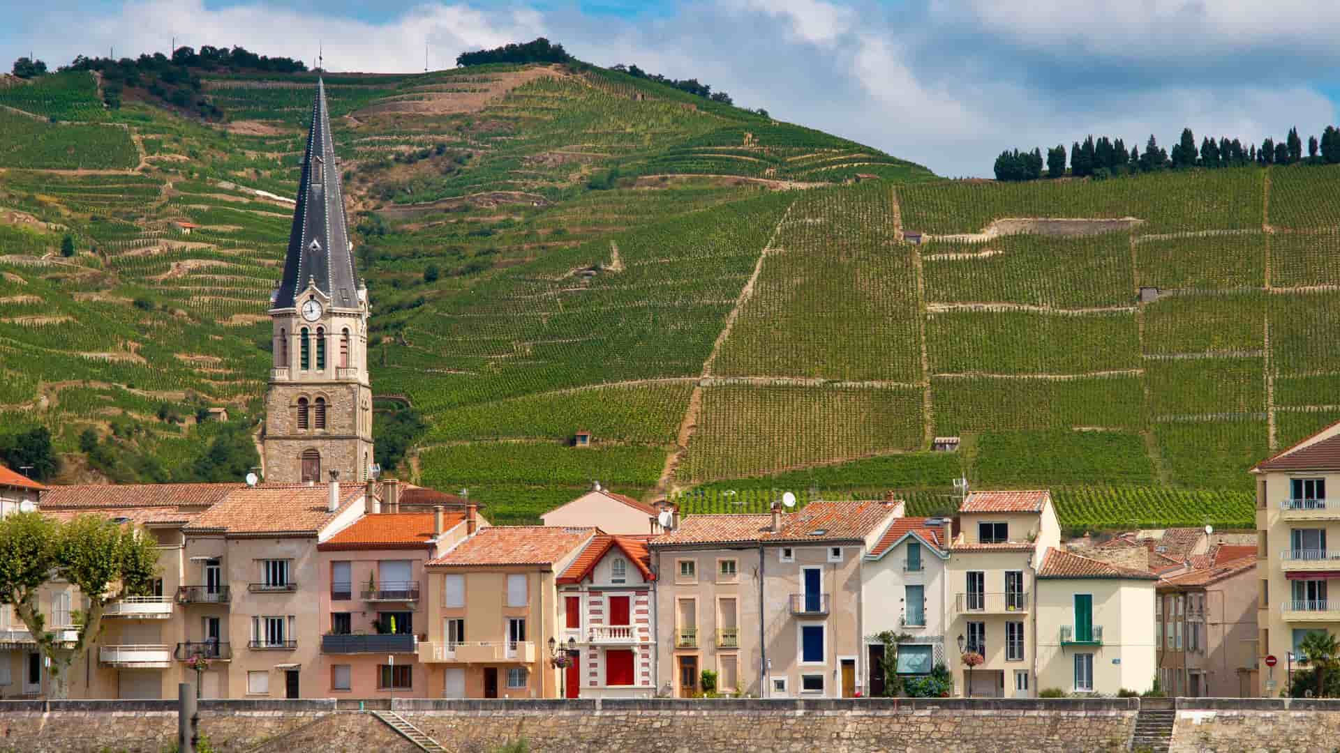A scenic view of the charming town of Tournon, France, with its old buildings and a towering church spire, backed by a lush, terraced vineyard on the hillside.
