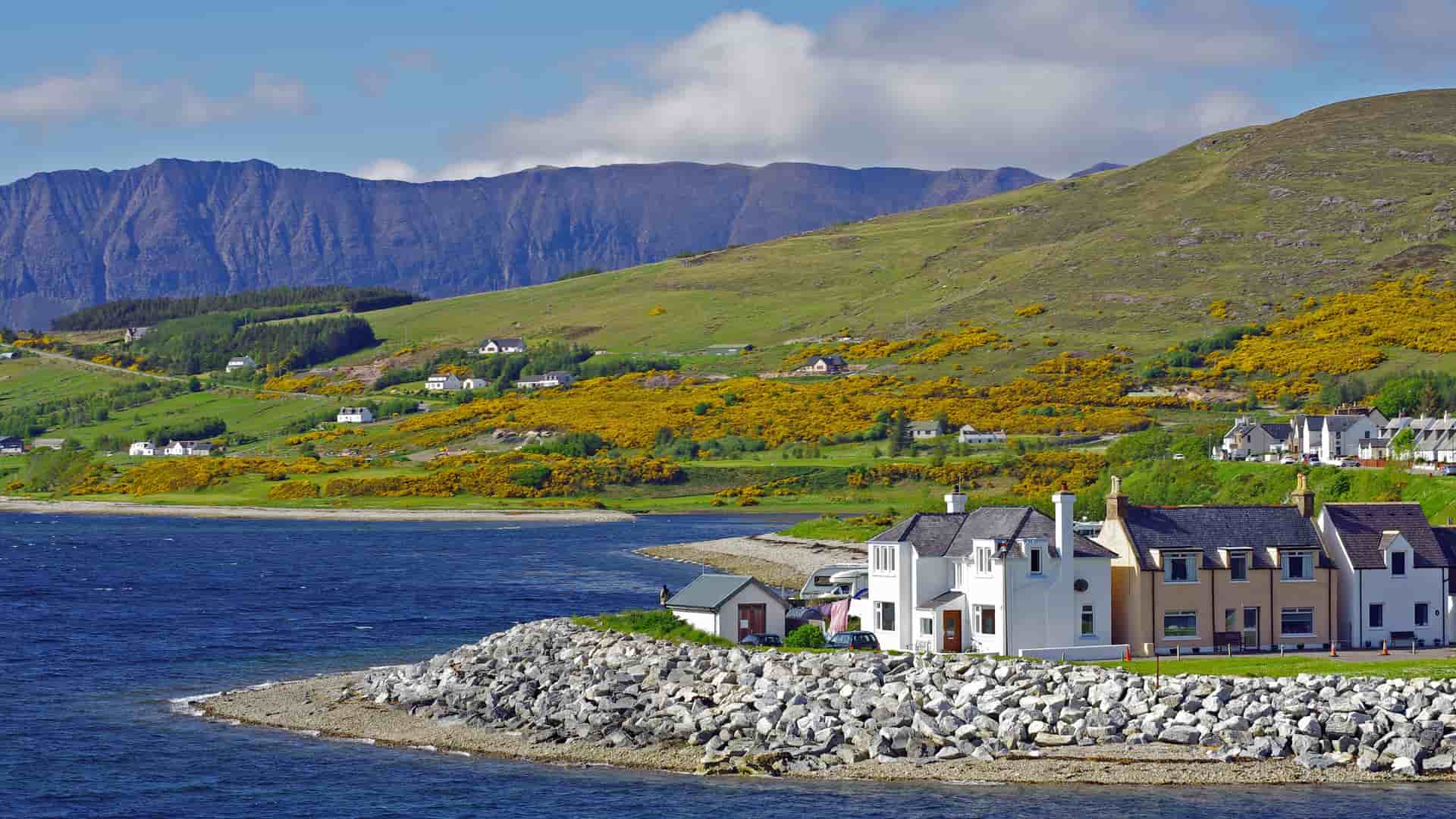 A charming view of whitewashed stone cottages along the shoreline in Ullapool, Scotland, set against a backdrop of green hills covered in bright yellow wildflowers and distant mountains.