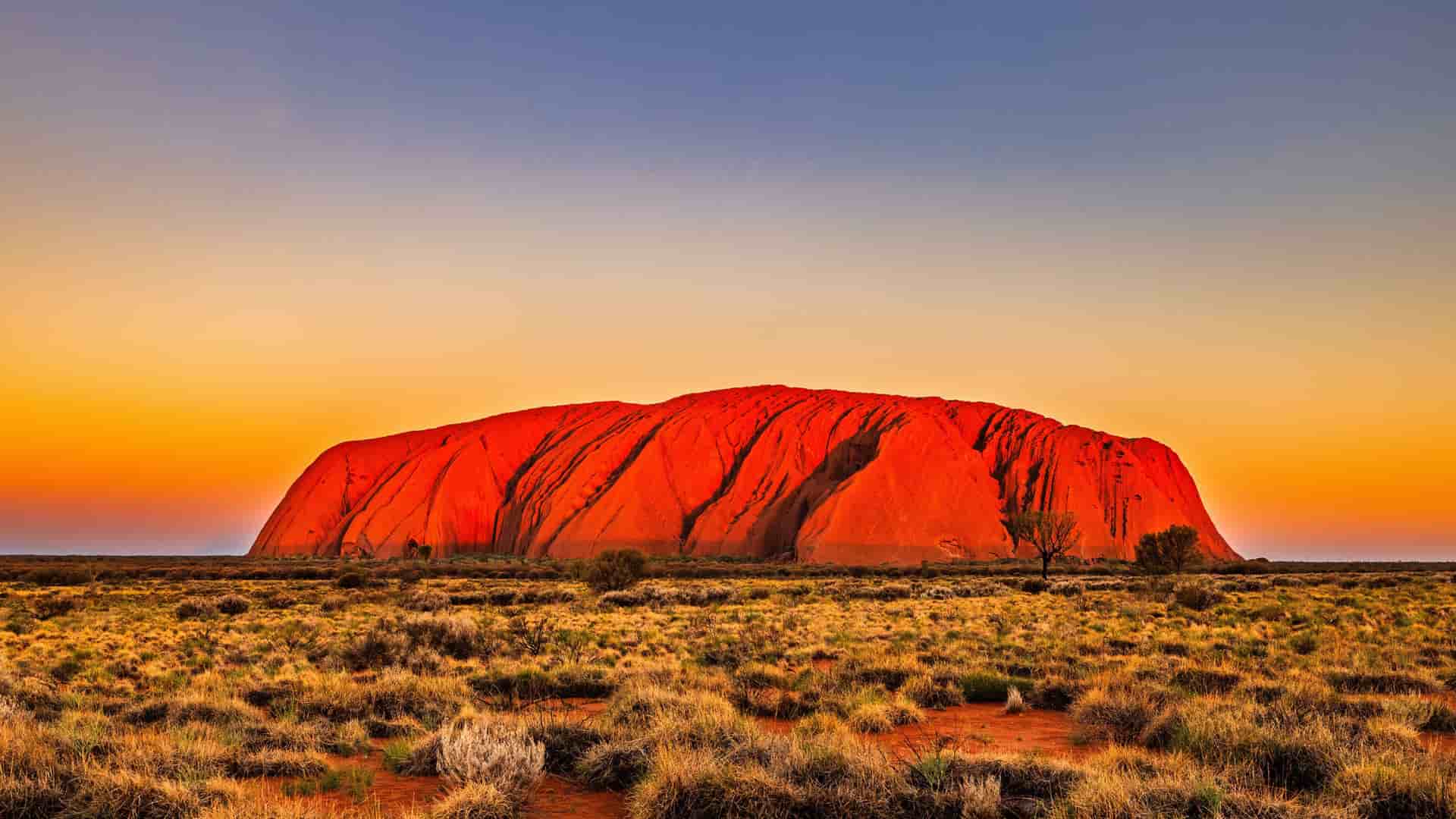"A panoramic view of the iconic Uluru (Ayers Rock), a large sandstone monolith glowing with a vibrant orange and red hue at sunset, rising from the flat, grassy landscape of the Australian Outback.  "