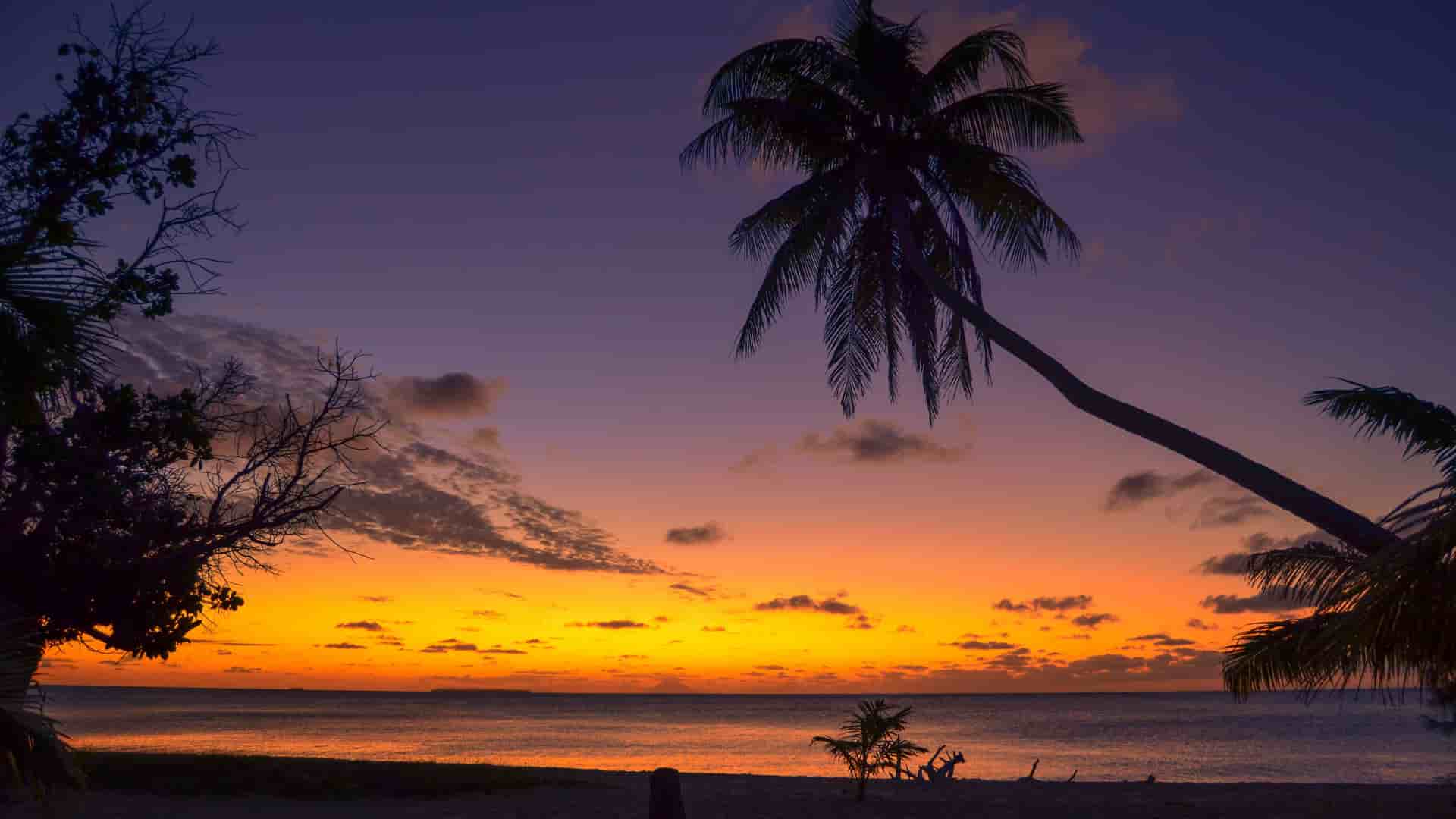 A serene sunset over a tropical beach, with a silhouetted palm tree leaning over the calm water of the Pacific Ocean on Uoleva Island in Tonga.