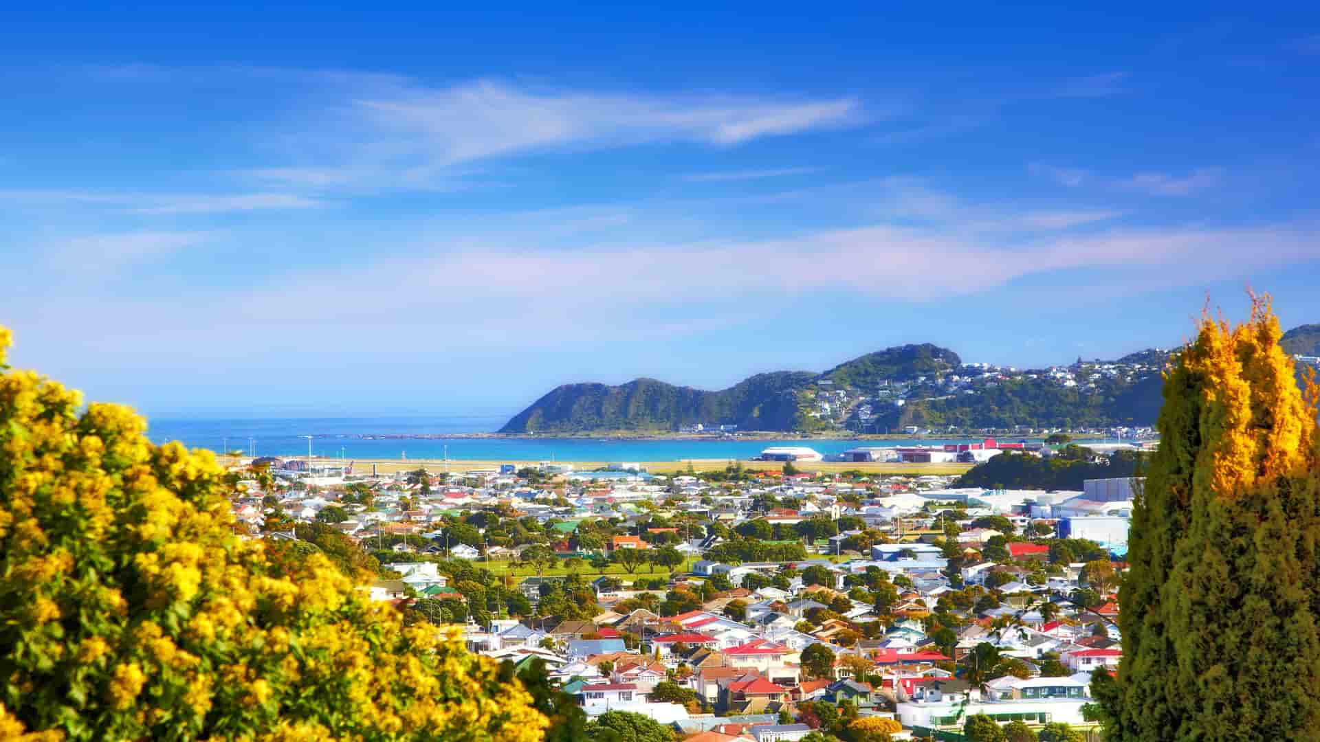 A panoramic view of the colorful city of Wellington, New Zealand, with the airport, harbor, and houses nestled in a valley with mountains and the sea in the distance.
