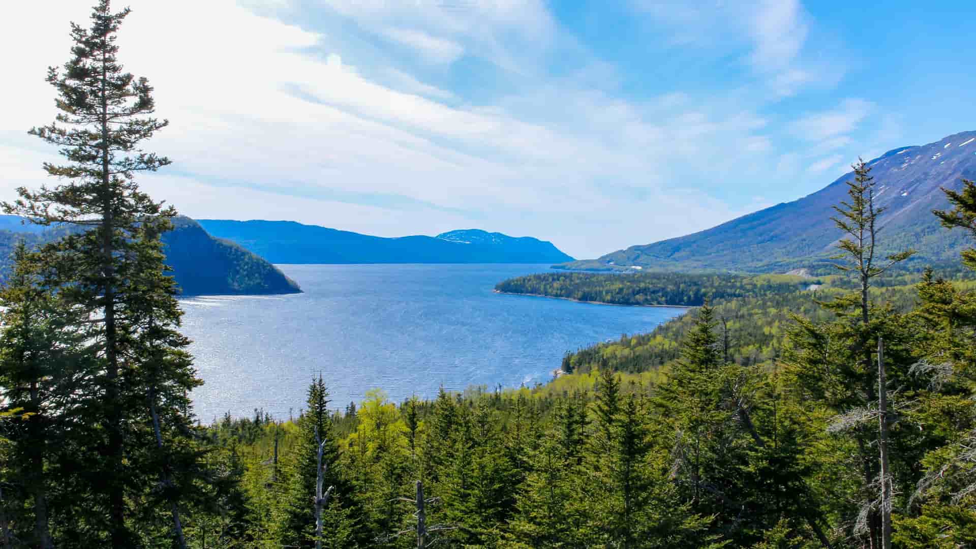 A stunning view of Bonne Bay in Newfoundland, Canada, with a wide body of water surrounded by mountains and evergreen trees, seen from a scenic overlook in Woody Point.