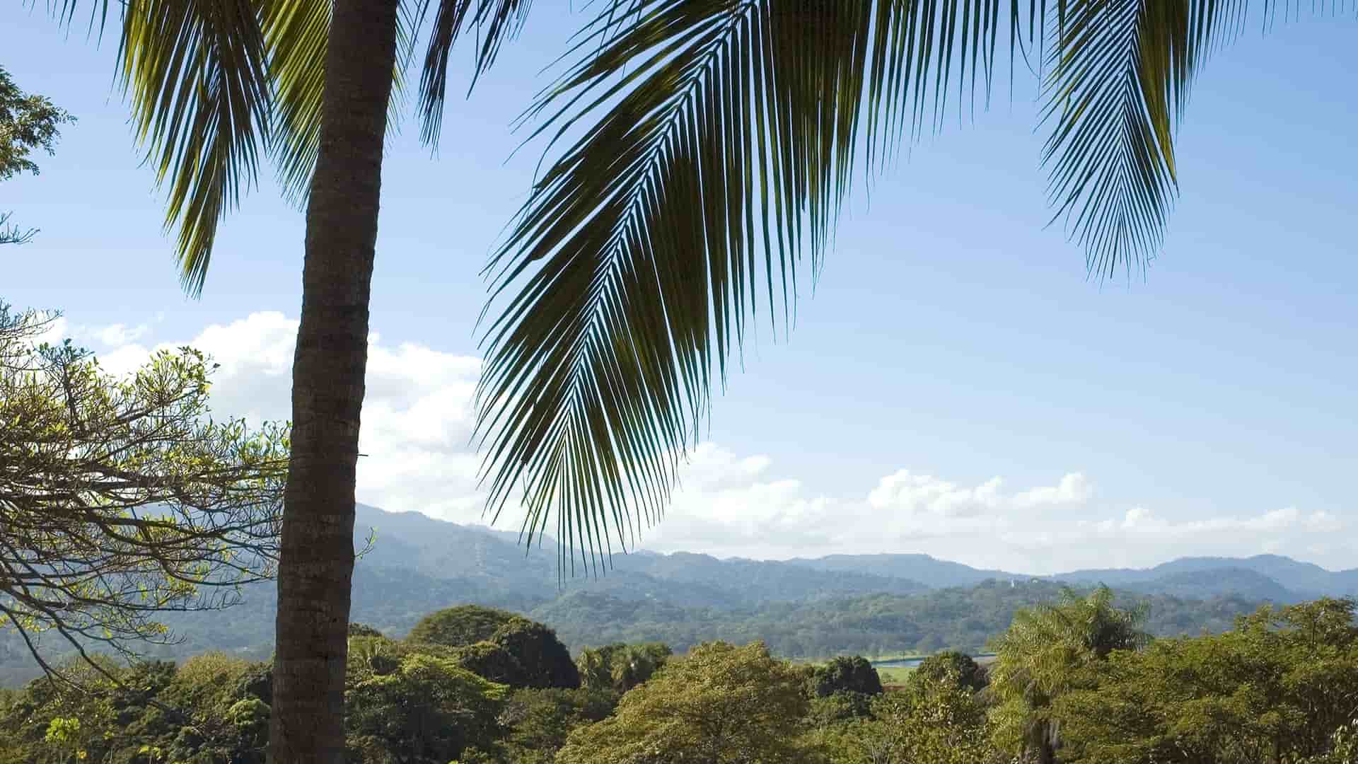 Puntarenas, Costa Rica tropical landscape with palm trees and mountains.