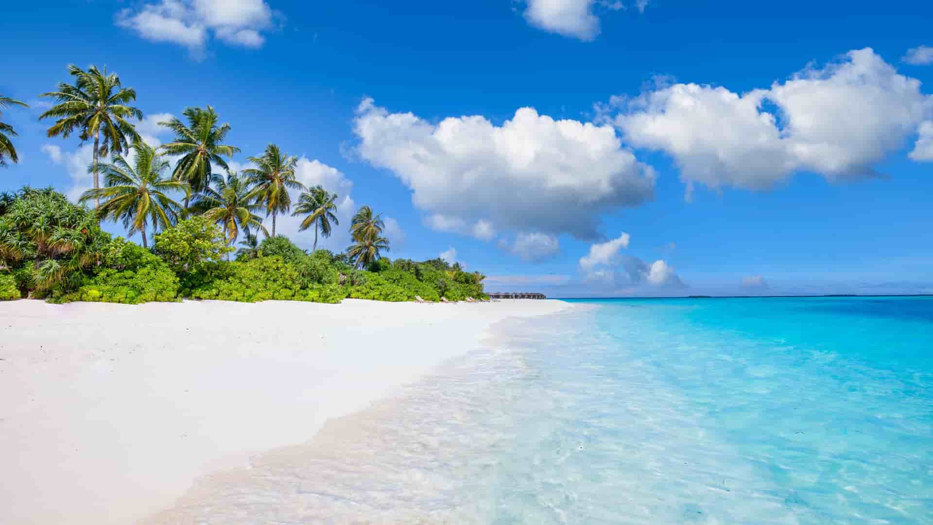 A white‑sand Fijian beach with tall palms, clear turquoise water, and a bright blue sky dotted with soft clouds.