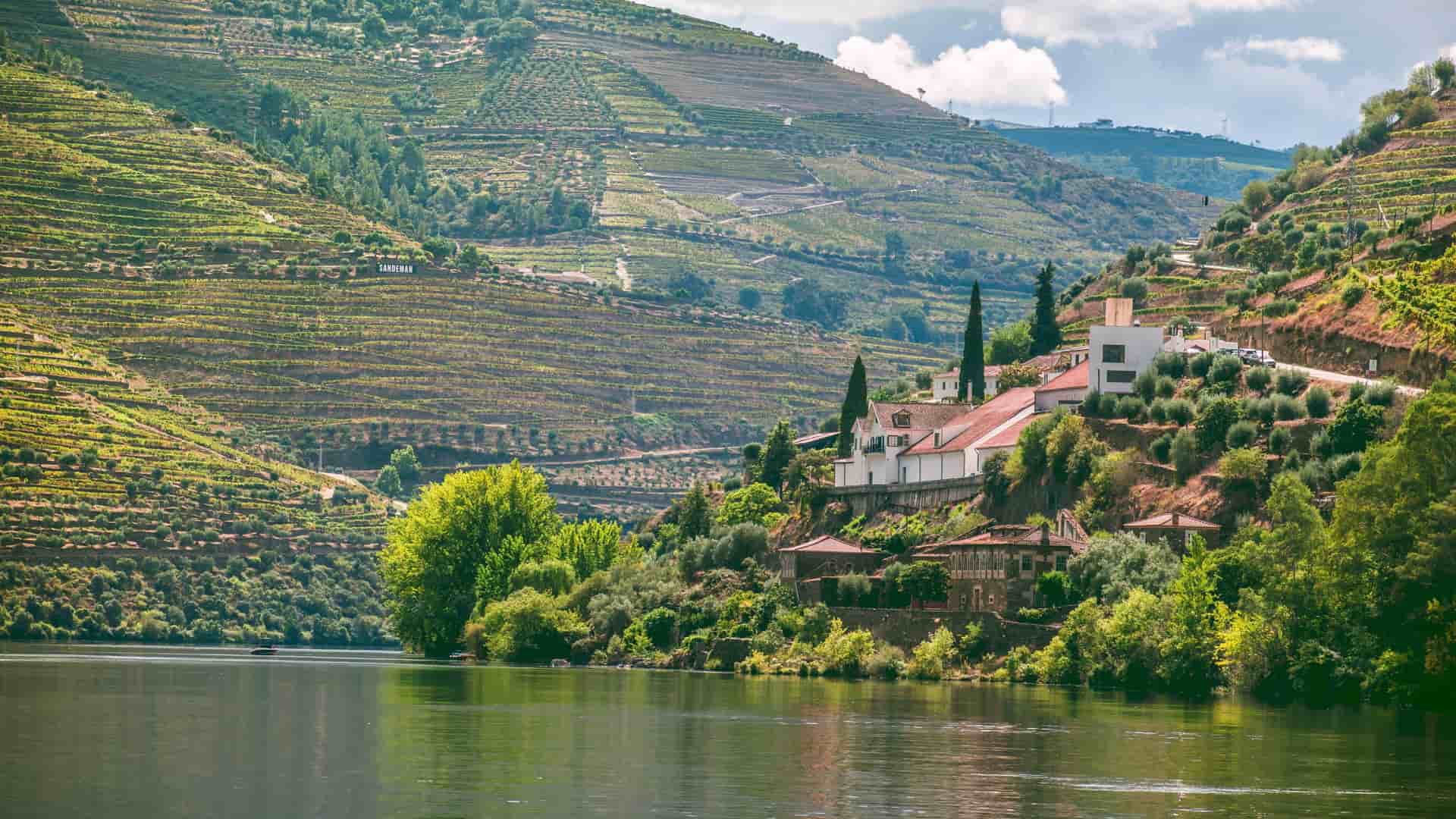 Wine vineyards on the side of a mountain along the Douro River in Portugal.