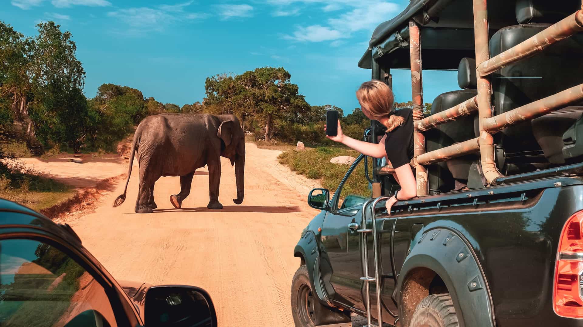 Safari excursion with an elephant sighting on an AmaWaterways Africa river cruise.