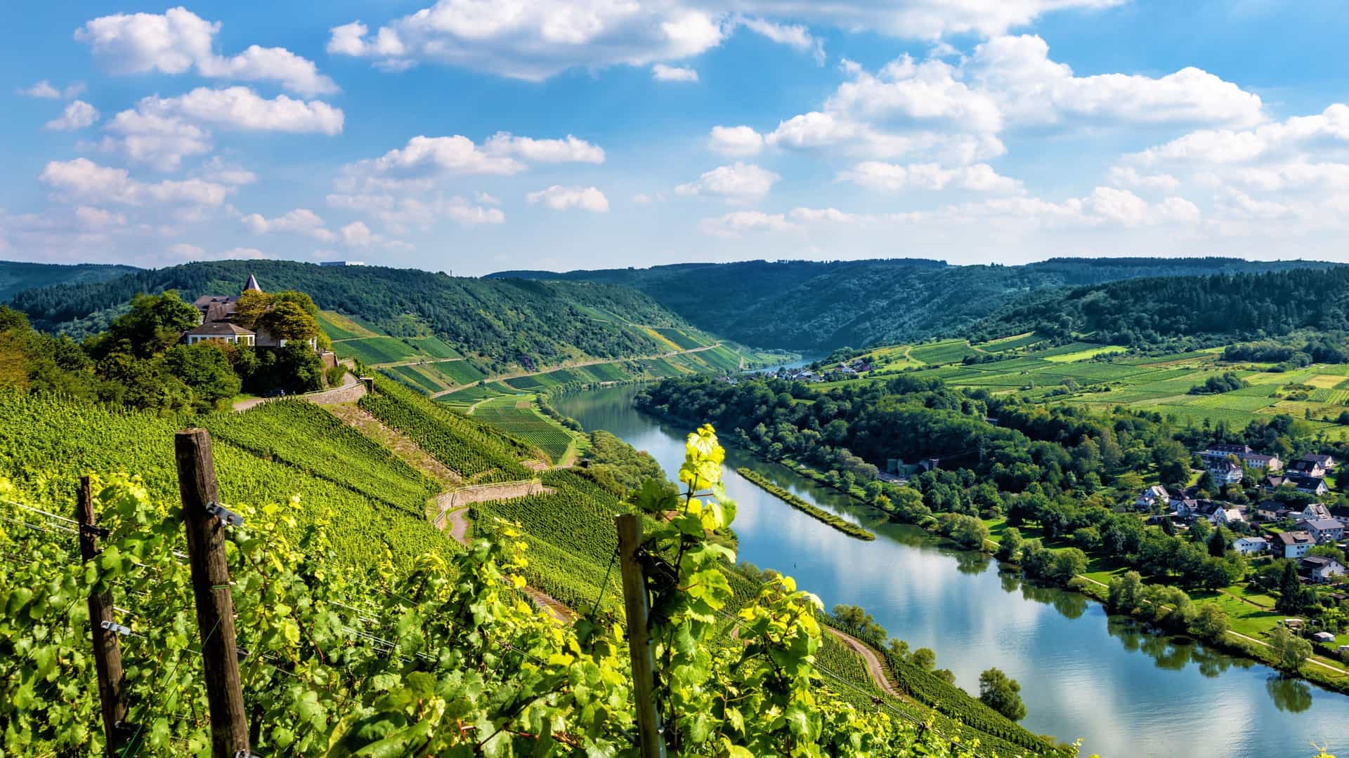 AmaWaterways Moselle River cruise in Germany, showcasing the picturesque valley with lush green vineyards cascading down to the winding river under a clear blue sky.